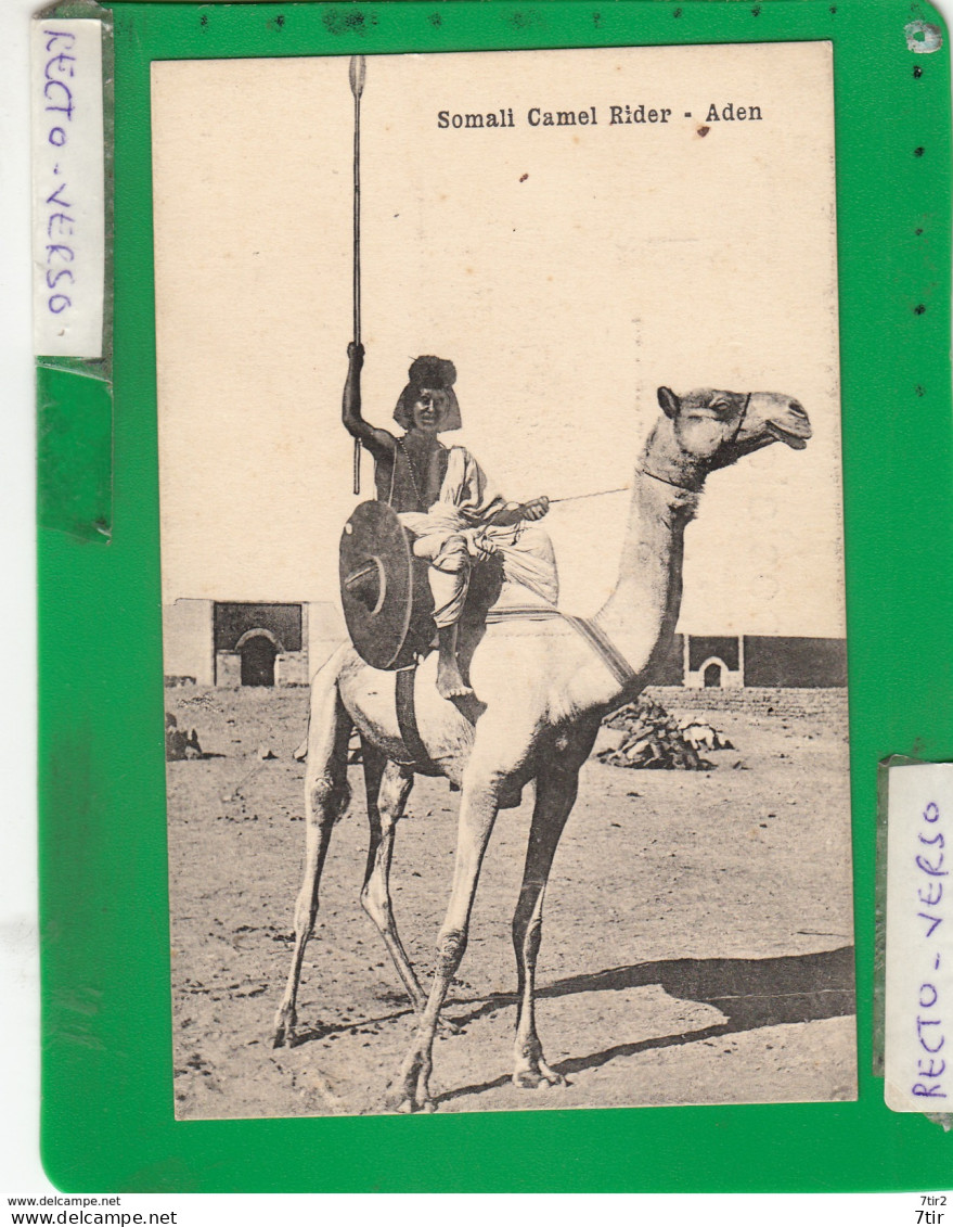 ADEN SOMALI CAMEL RIDER - Yémen