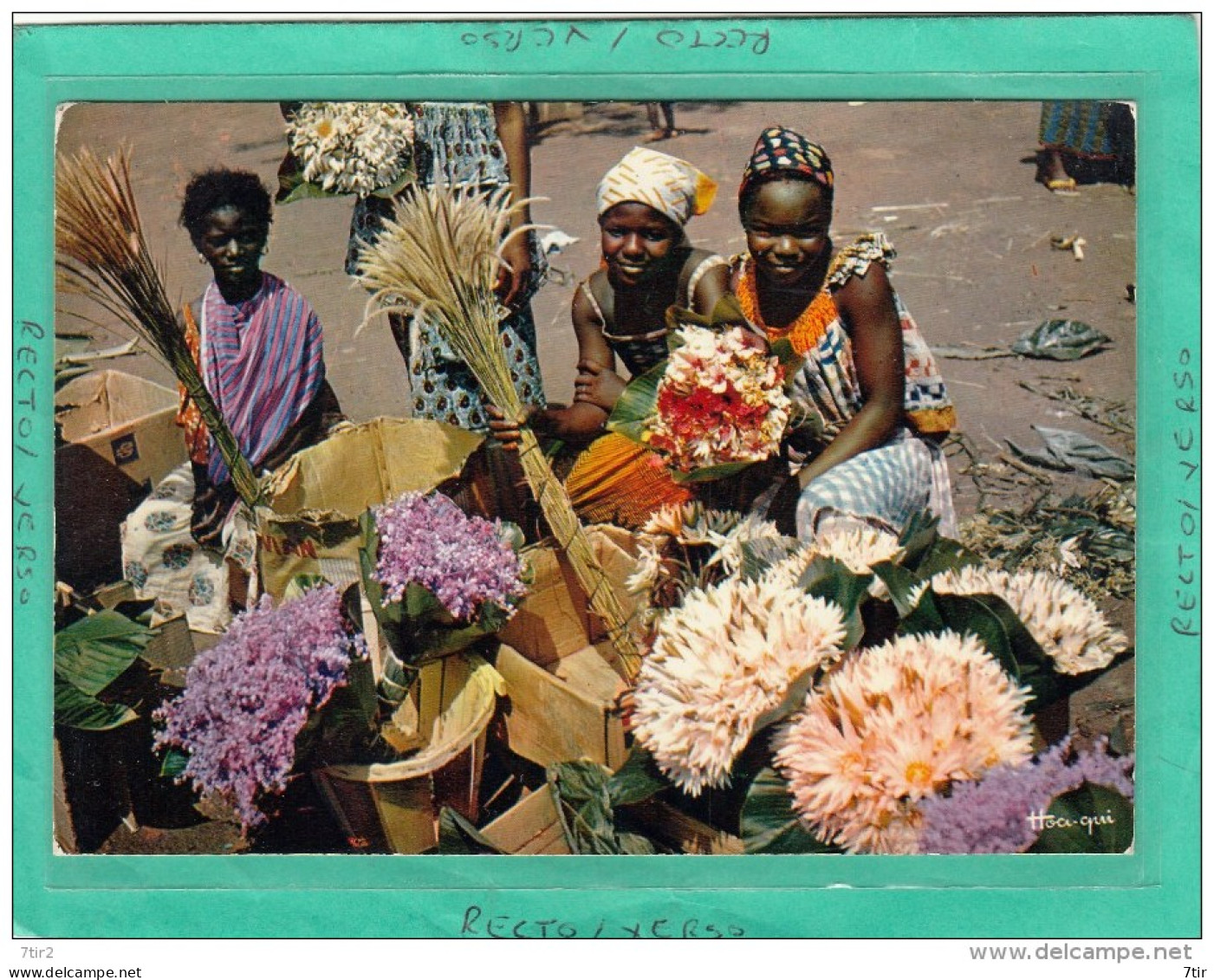 AFRIQUE EN COULEURS  MARCHANDES DE FLEURS - Non Classés