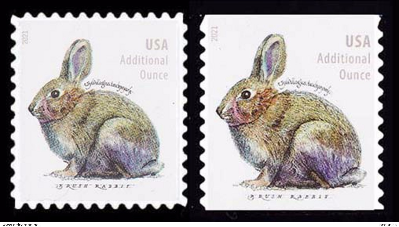 Etats-Unis / United States (Scott No.5544-45 - Rabbit) [**] Regular And Coil - Neufs