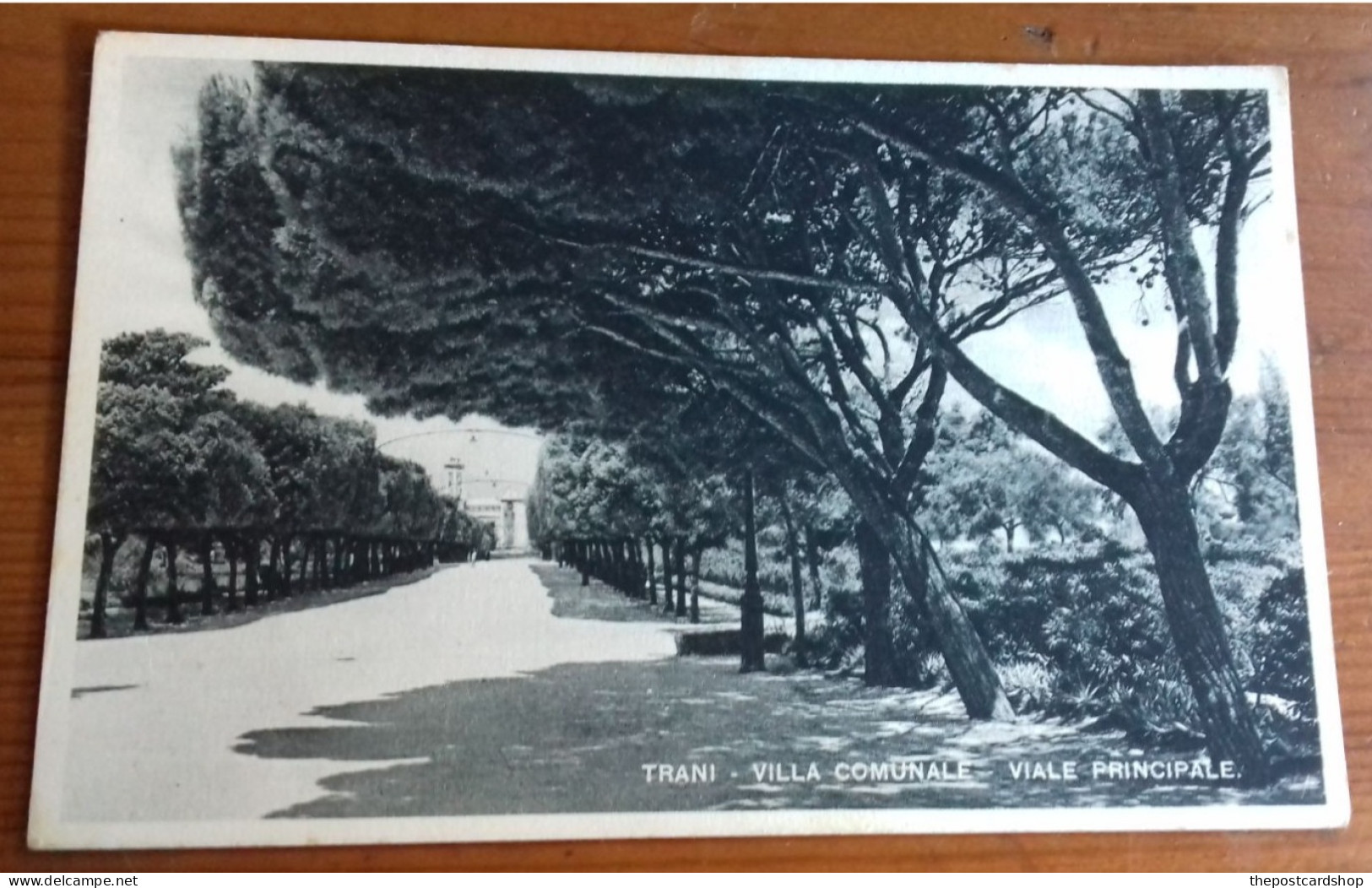 TRANI VILLA COMUNALE BUONE CONDIZIONI PUGLIA ITALY Unused - Trani