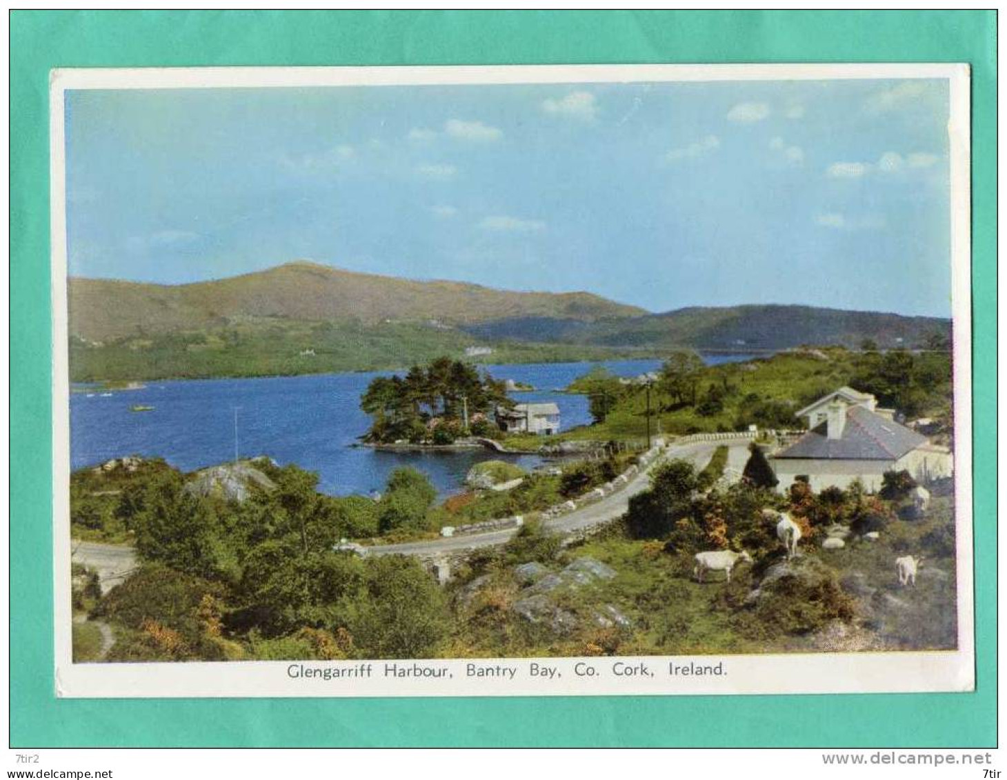 GLENGARRIFF HARBOUR BANTRY BAY CORK - Cork