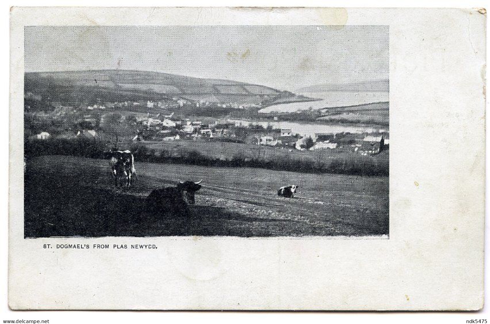 ANGLESEY : ST. DOGMAEL'S FROM PLAS NEWYDD / RHOSHILL CDS / MAESTEG, QUEENS STREET (ROBERTS) - Anglesey