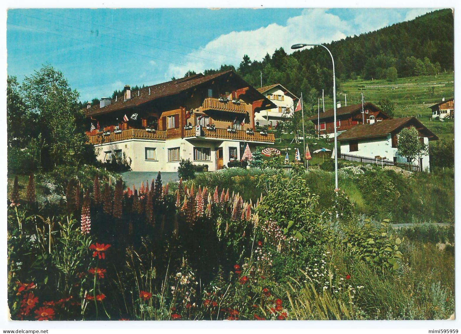 8001 - NAX Sur SION (Suisse) - Balcon Du Ciel - Auberge Restaurant 'Ma Vallée' -Animée -Circulée 1972 -Scan Recto-verso - Nax