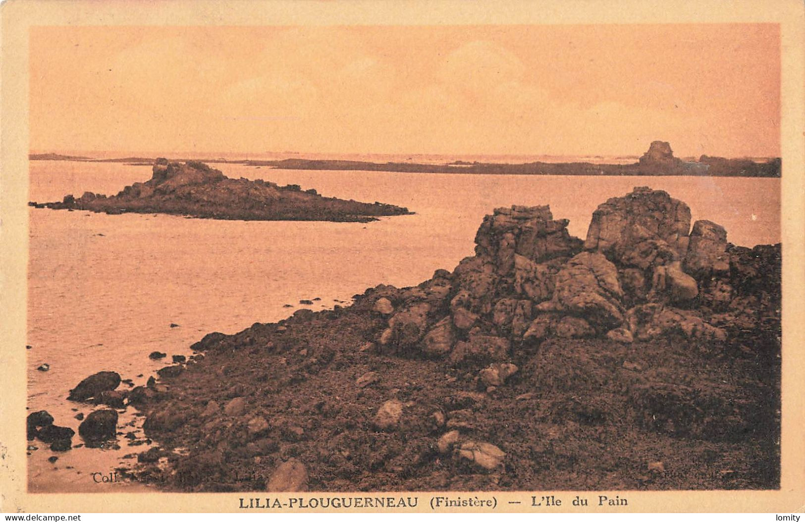 29 Lilia En Plouguerneau Ile Du Pain CPA - Plouguerneau