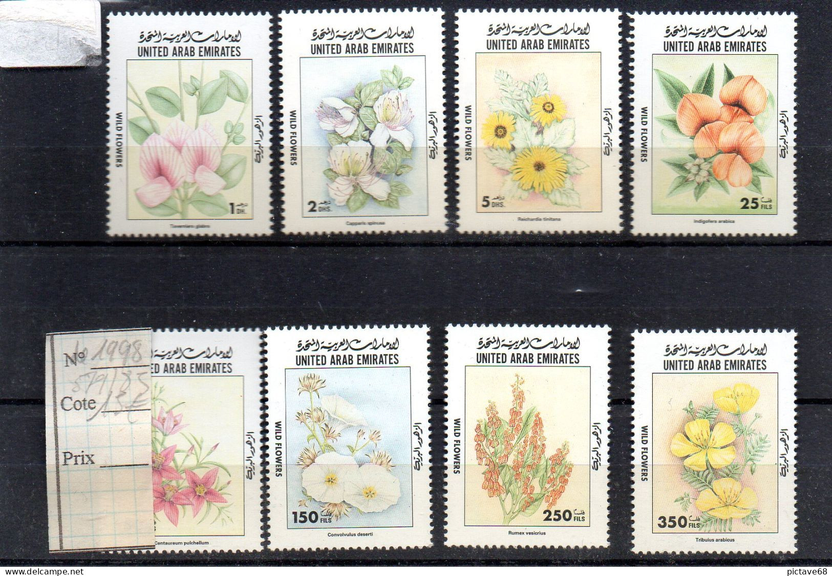 FLEURS / EMIRAT ARABES UNIS  / BELLE SERIE DE FLEUR DE 1985 NEUVE** - Autres & Non Classés