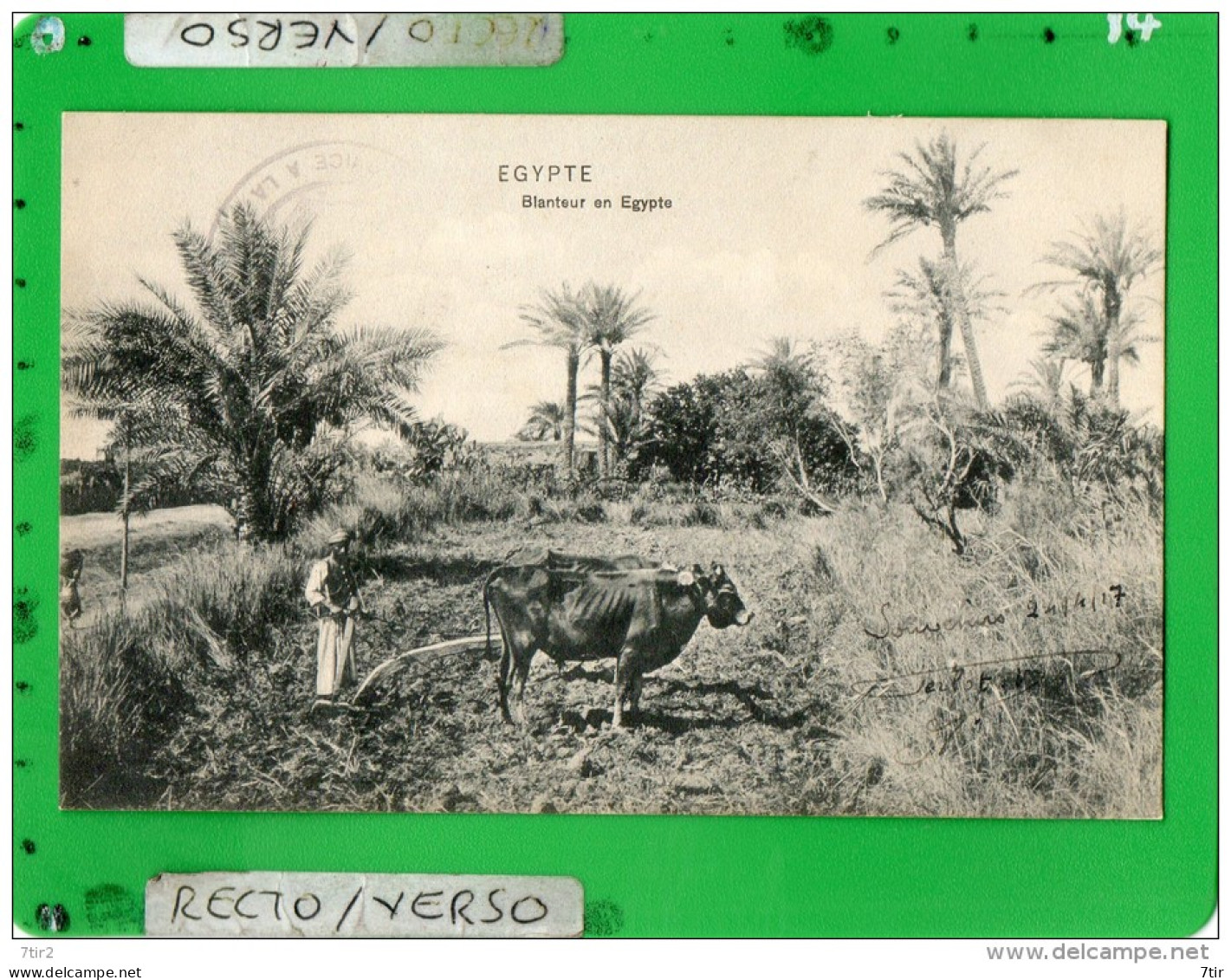 EGYPTE BLANTEUR EN EGYPTE ( Expédiée De Port Said 1917 ) - Port-Saïd