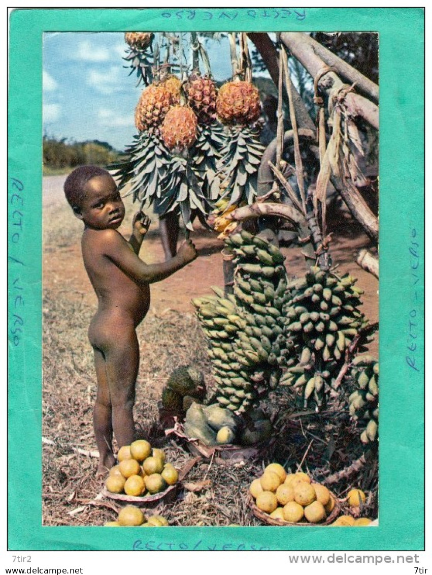 AFRIQUE EN COULEUR ENFANT AUX FRUITS - Non Classés