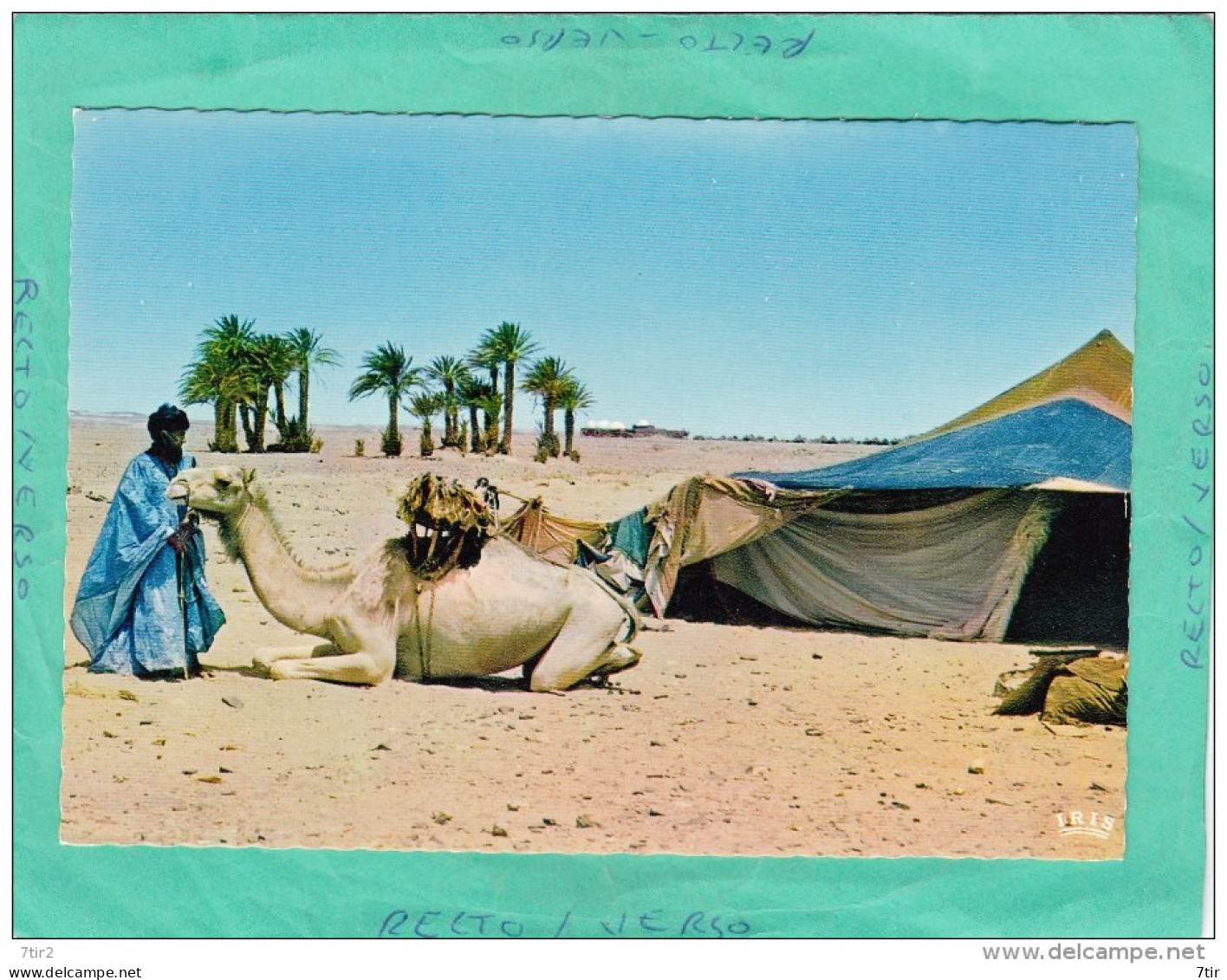 DEVANT LA HAIMAH OU TENTE NOMADE SCENES ET TYPES AFRIQUE - Non Classés