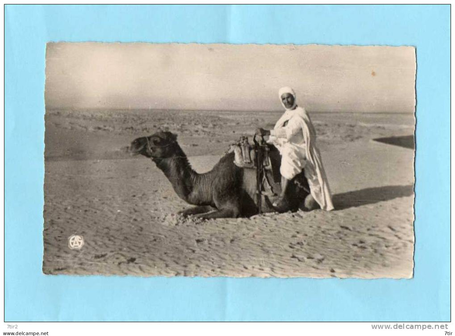 SCENES ET TYPES D'AFRIQUE DU NORD Seul Dans L'immensité - Non Classés