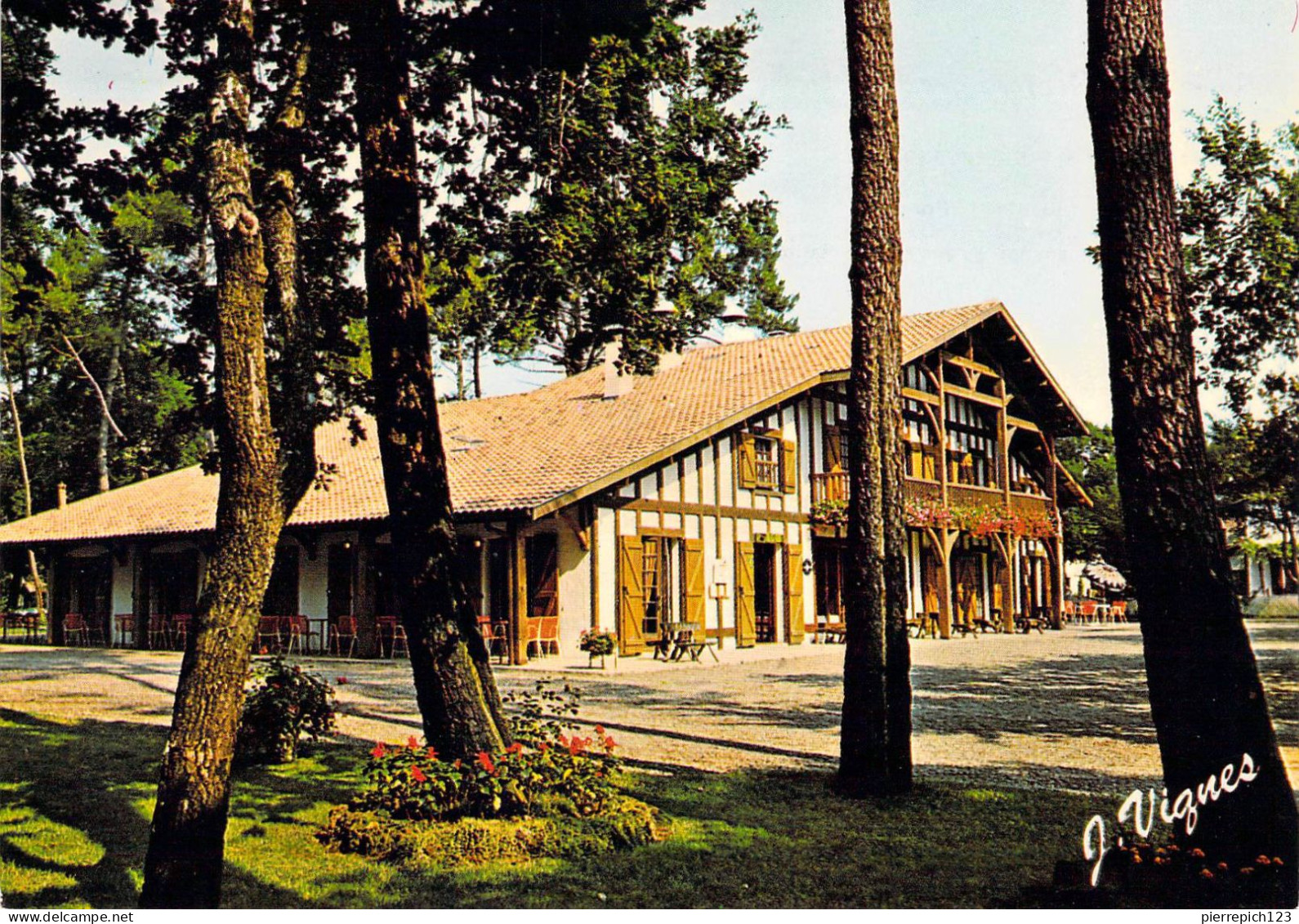 40 - Sabres - Au Milieu De La Forêt, L'Auberge Des Pins - Sabres