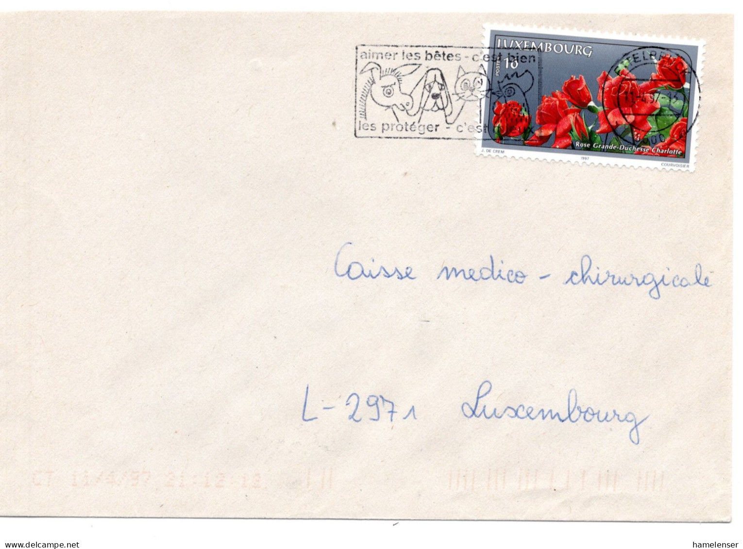 59296 - Luxemburg - 1997 - 16F Rosen EF A OrtsBf LUXEMBOURG - AIMER LES BETES ... - Rozen