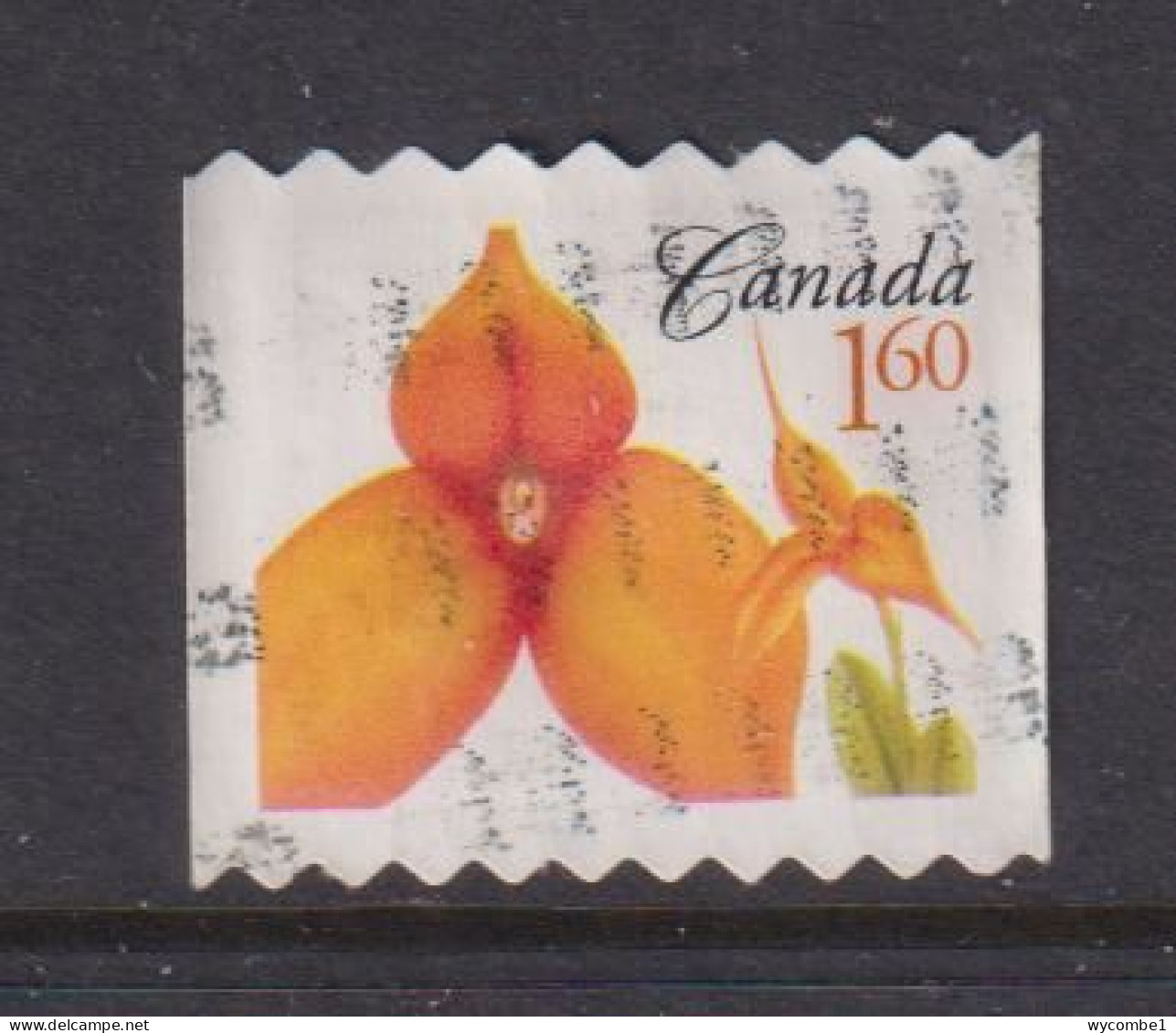 CANADA  -  2007 Orchids $1.60 Used As Scan - Oblitérés