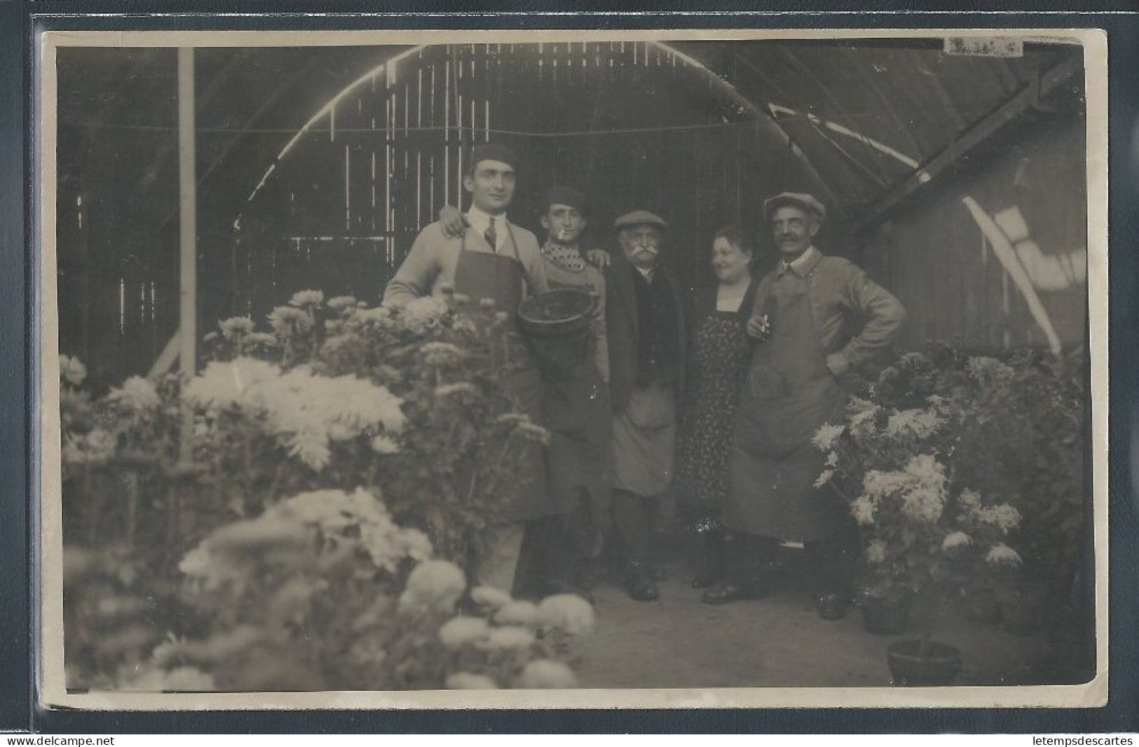 CARTE PHOTO - Fleuristes (?), Lieu à Déterminer - Mercanti