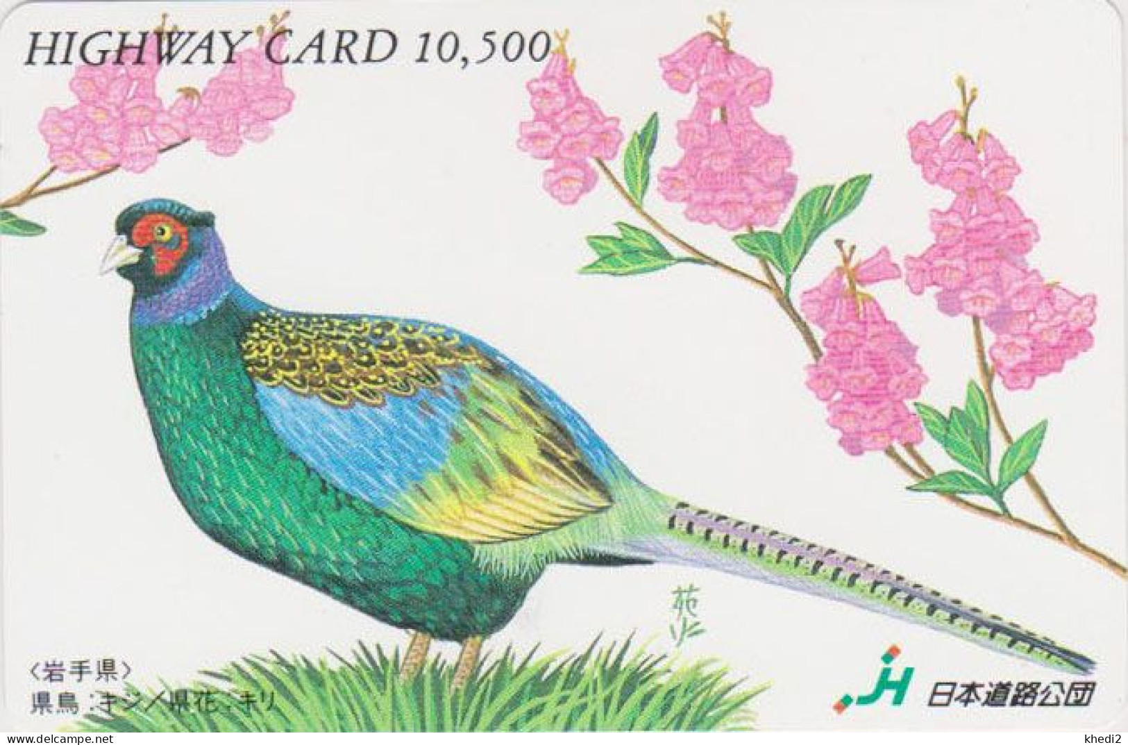 Carte JAPON - Série PEINTURE OISEAU & FLEUR - FAISAN - ANIMAL PHEASANT BIRD JAPAN Highway Ticket Card - HW 5814 - Gallinaceans & Pheasants