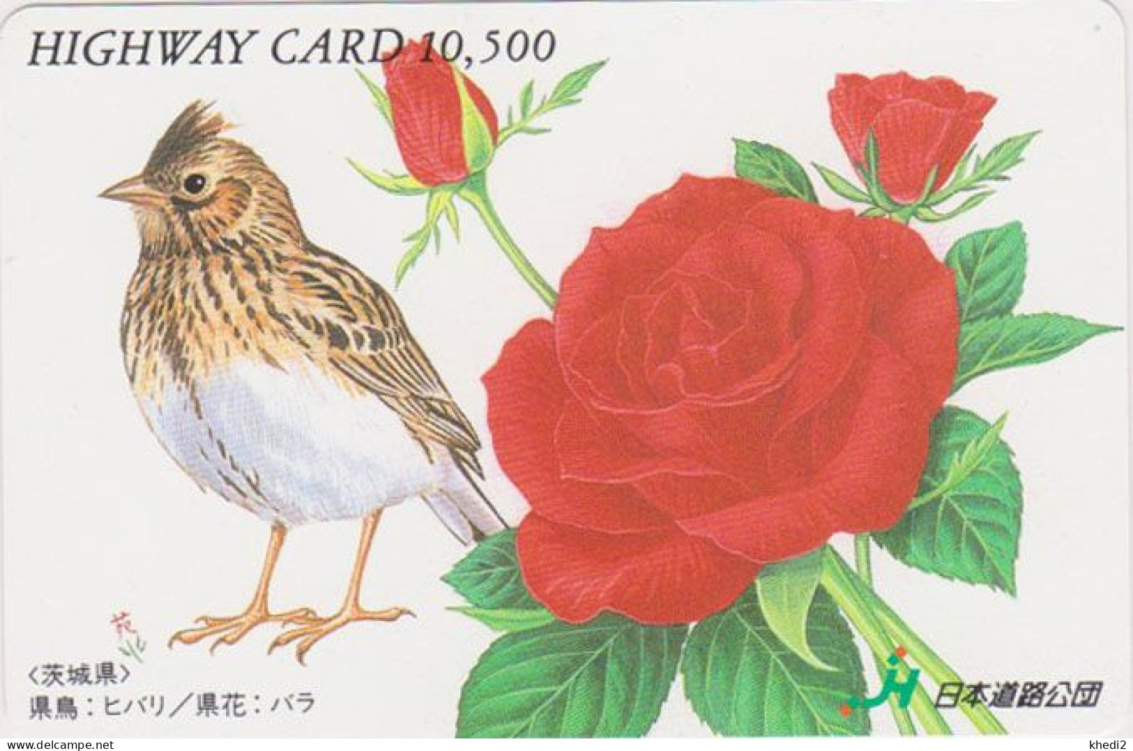 Carte JAPON - Série PEINTURE OISEAU & FLEUR - ALOUETTE - ANIMAL LARK BIRD JAPAN Highway Ticket Card - HW 5815 - Uccelli Canterini Ed Arboricoli