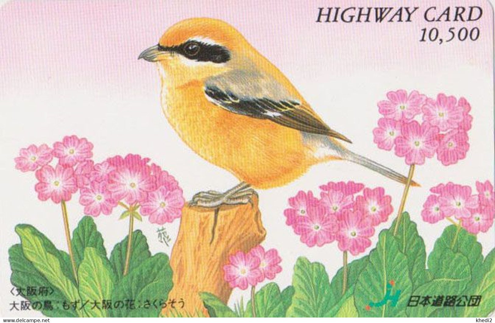 Carte JAPON - Série PEINTURE OISEAU & FLEUR - PIE GRIECHE - ANIMAL SHRIKE BIRD JAPAN Highway Ticket Card - HW 5816 - Zangvogels