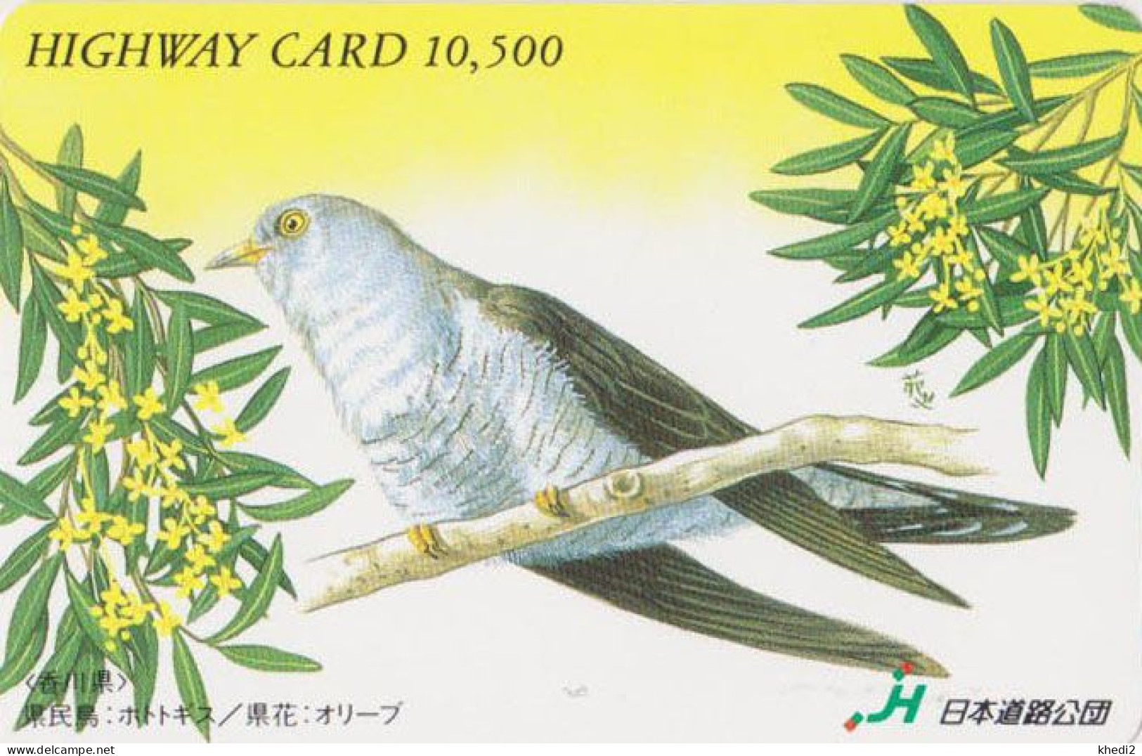 Carte JAPON - Série PEINTURE OISEAU & FLEUR - COUCOU - ANIMAL CUCKOO BIRD JAPAN Highway Ticket Card - HW 5817 - Pájaros Cantores (Passeri)