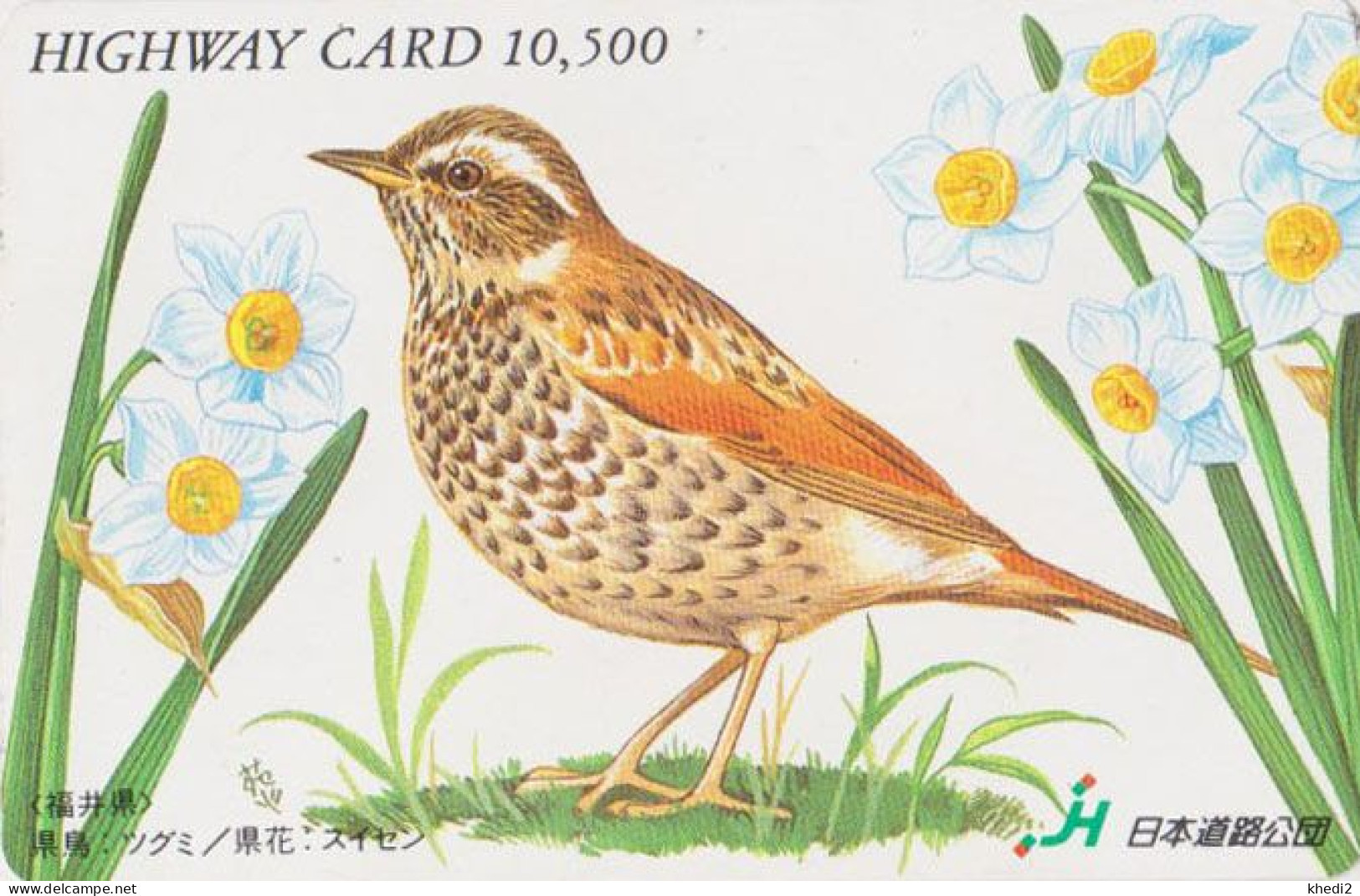 Carte JAPON - Série PEINTURE OISEAU & FLEUR - GRIVE - ANIMAL THRUSH BIRD JAPAN Highway Ticket Card - HW 5818 - Uccelli Canterini Ed Arboricoli