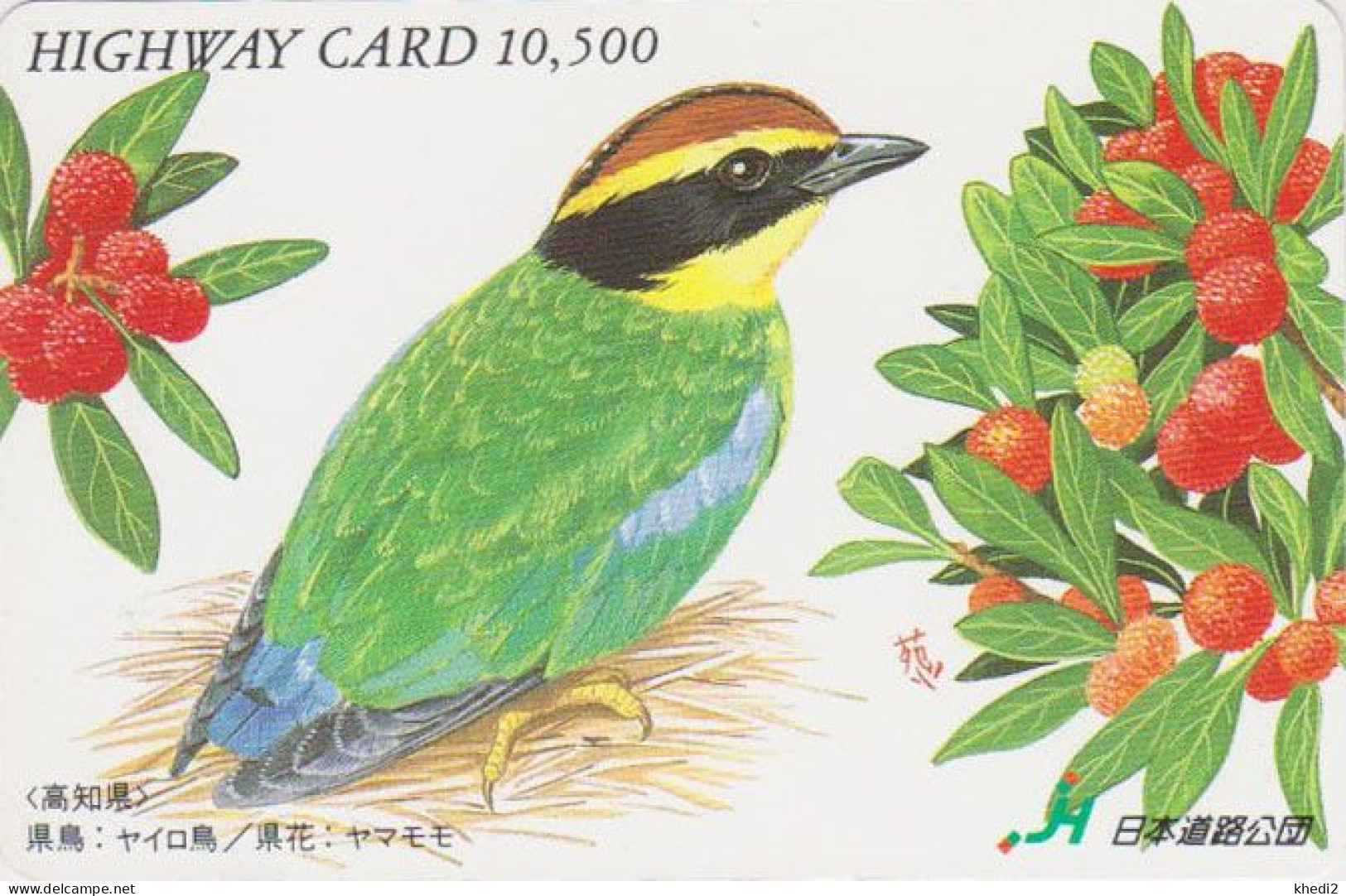 Carte JAPON - Série PEINTURE OISEAU & FLEUR - PITTA - ANIMAL BIRD JAPAN Highway Ticket Card - HW 5819 - Zangvogels