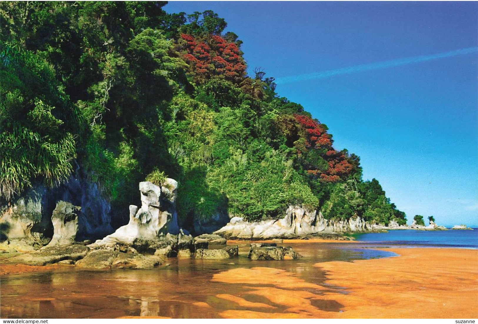 New Zealand - Abel Tasman Coastline TOTARANUI Beach - Nouvelle-Zélande