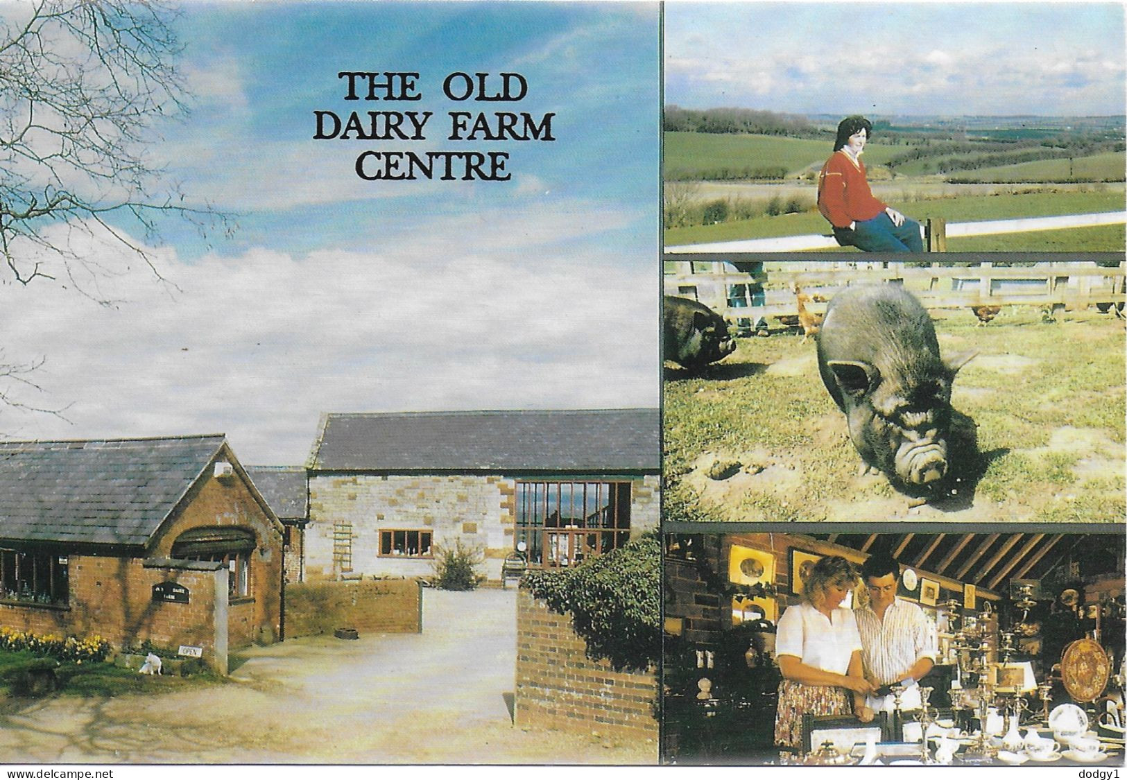 OLD DAIRY FARM CENTRE, UPPER STOWE, WEEDON, NORTHAMPTONSHIRE, ENGLAND. UNUSED POSTCARD   Wp7 - Northamptonshire