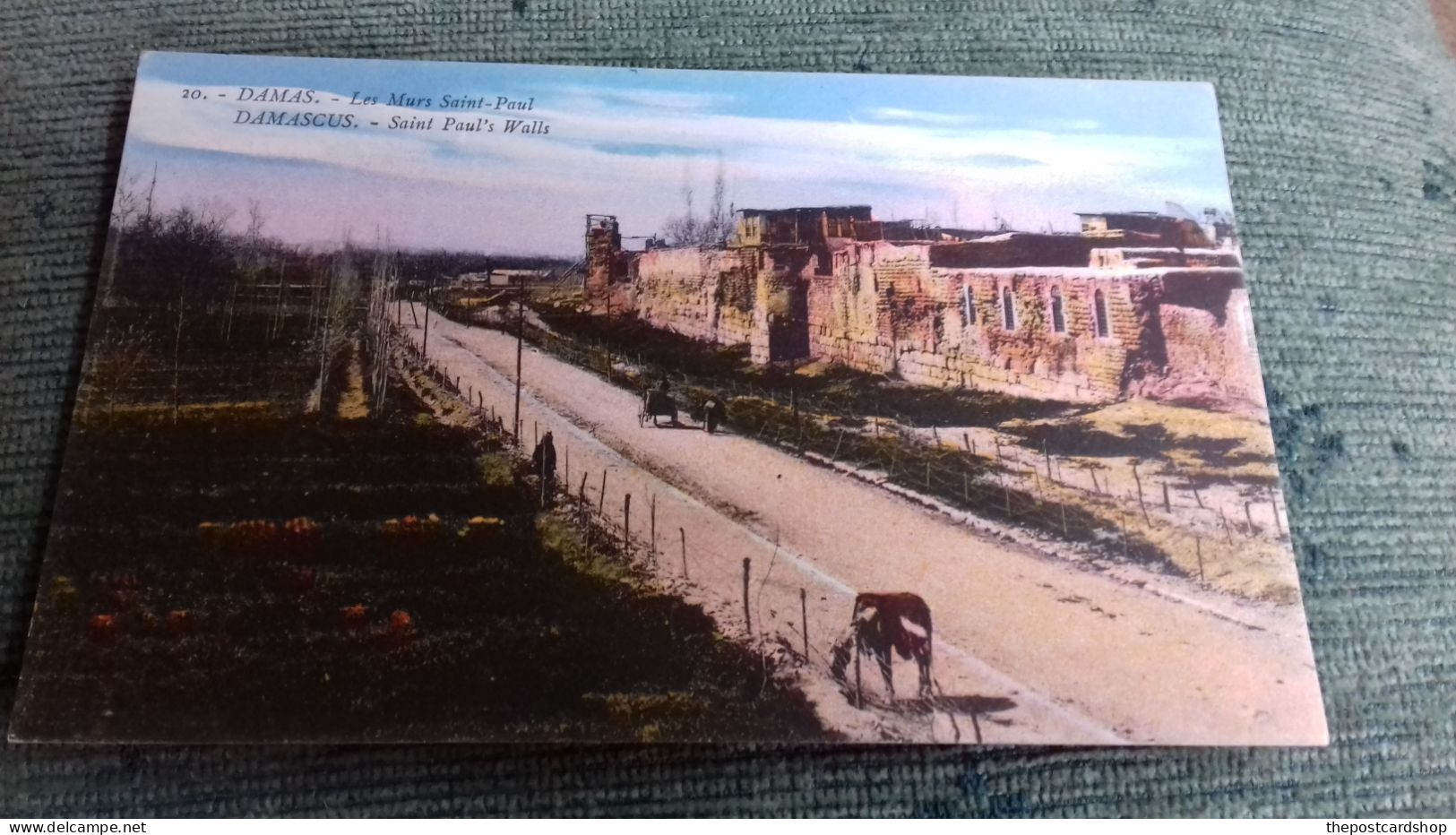 CPA Damas Ancien Mur Par Ou Saint Paul S'est Enfuit - Damascus Ancient Wall Where St Paul Took The Flight - Siria