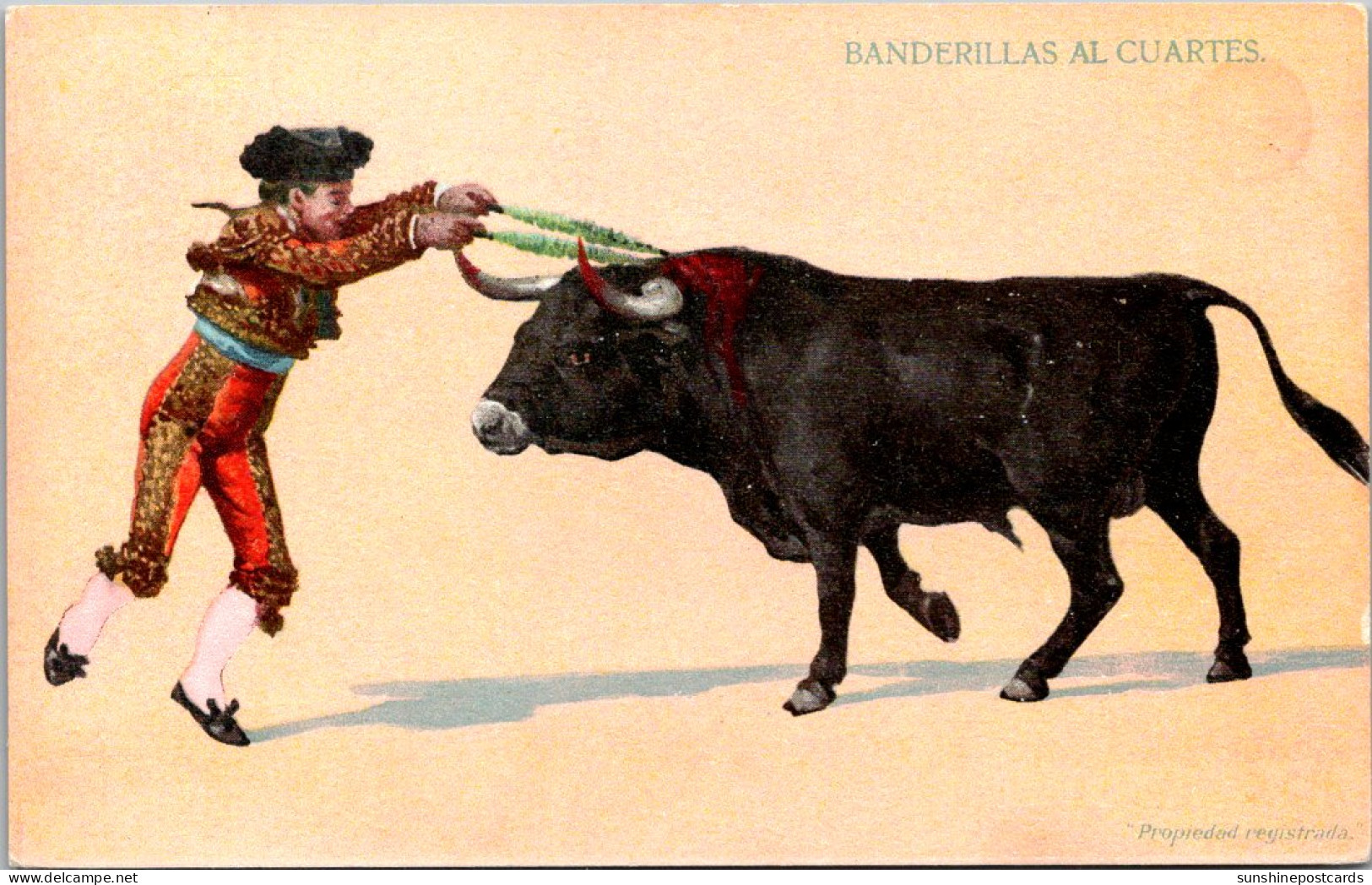 Buy professional bullfighting banderillas