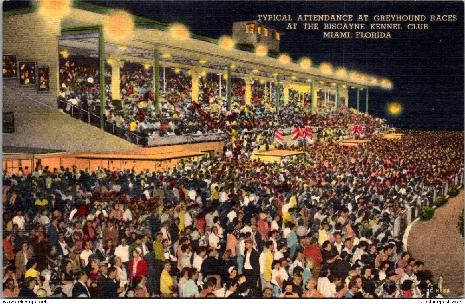 Florida MIami Typical Crowd At Greyhound Races At The Biscayne Kennel Club Curteich - Miami