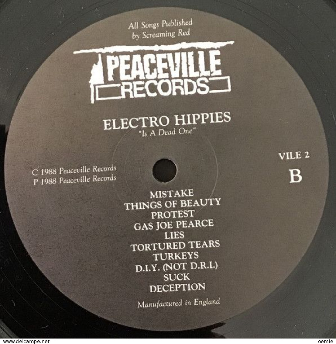 ELECTRO  HIPPIES   /  THE ONLY  GOOD PNUK - Punk