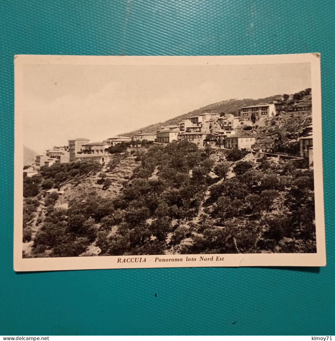 Cartolina Raccuia - Panorama LatoNord Est. Viaggiata 1960 - Messina