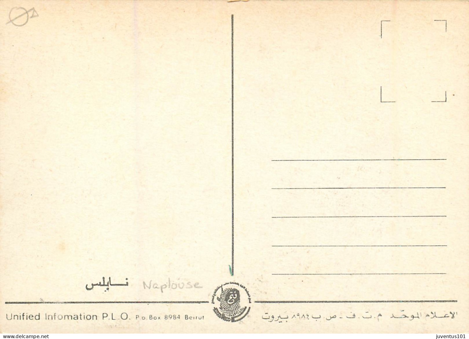 CPSM Palestine-Cis Jordanie-Naplouse-TRES RARE    L2337 - Palestine