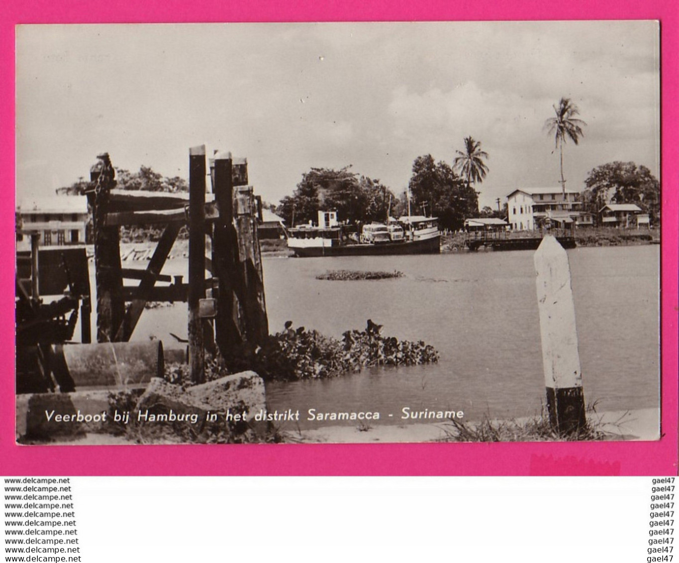 CPA (Réf: Z 2785) (AMÉRIQUE) Ferryboat At Hamburg Saramacca - Surinam - Surinam