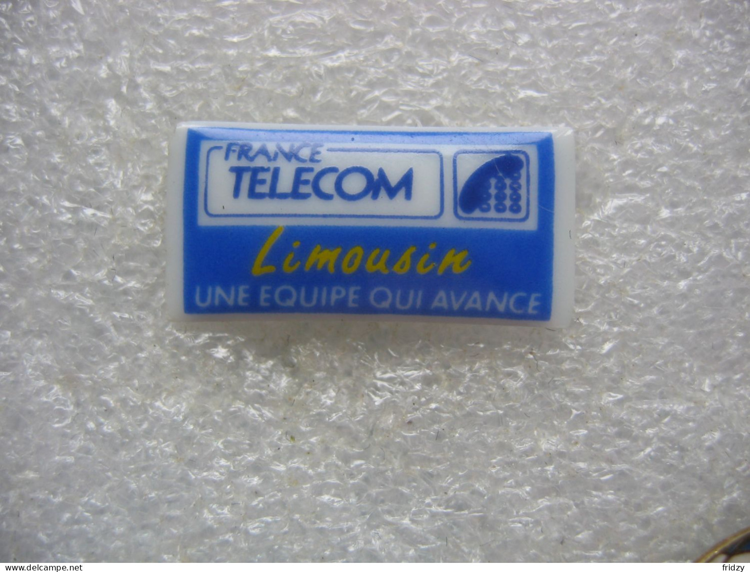 Pin's En Porcelaine D'une Agence France Télécom Du Limousin. Une équipe Qui Avance - Telecom De Francia