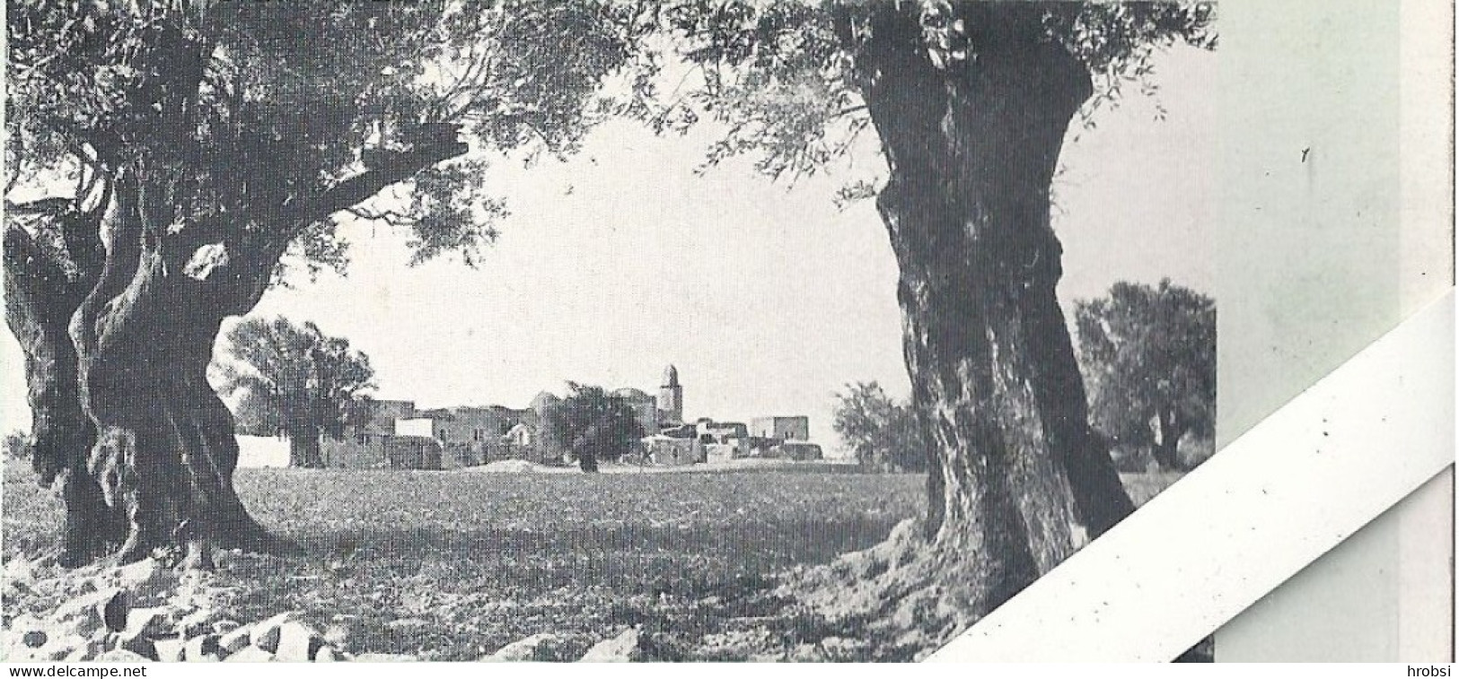 Israël, Jérusalem,  Sommet Du Mont Des Oliviers, Pub Chocolat D'Aiguebelle - Palestine