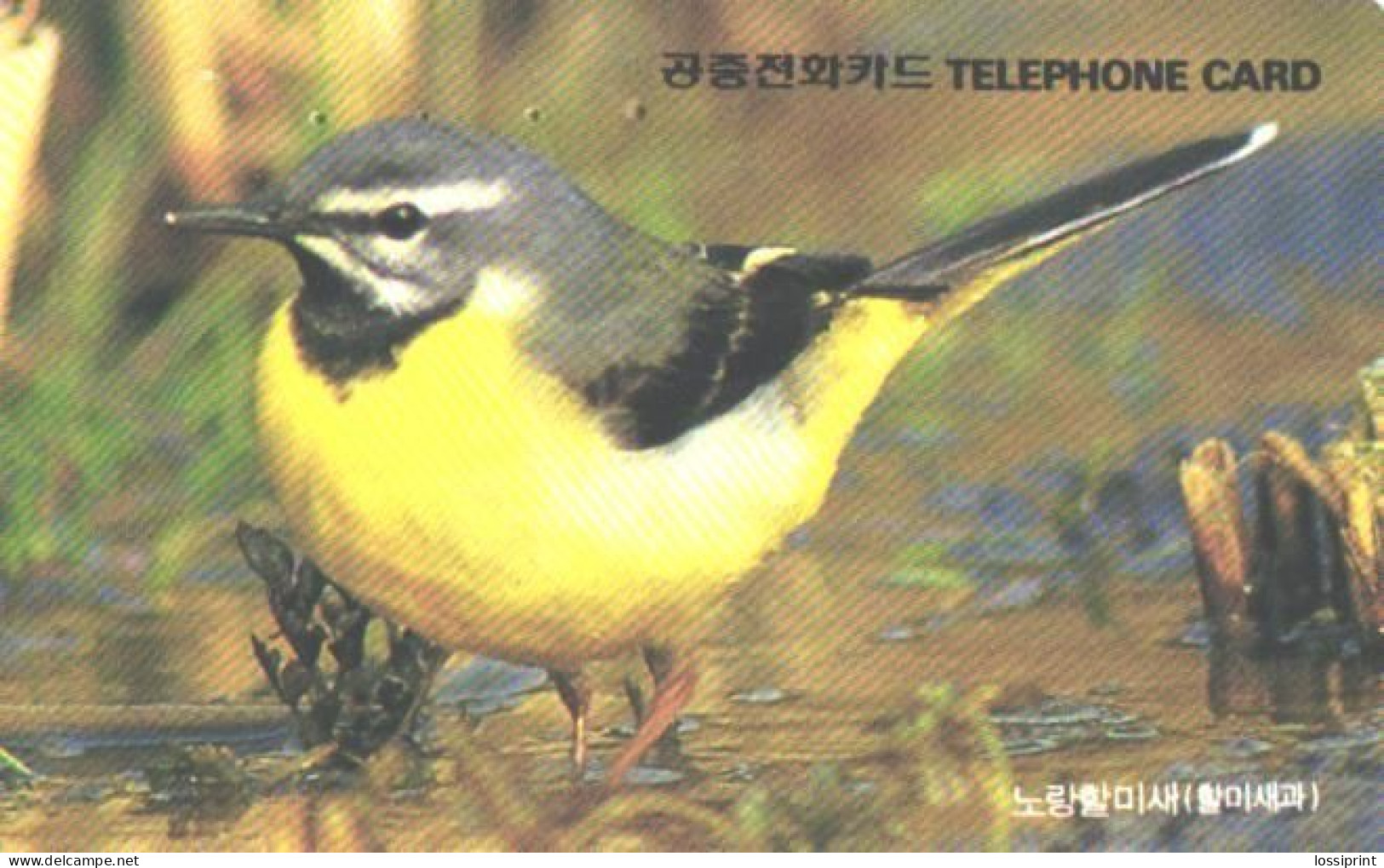 Korea:Used Phonecard, Korea Telecom, 2900-3000 Units, Bird - Zangvogels