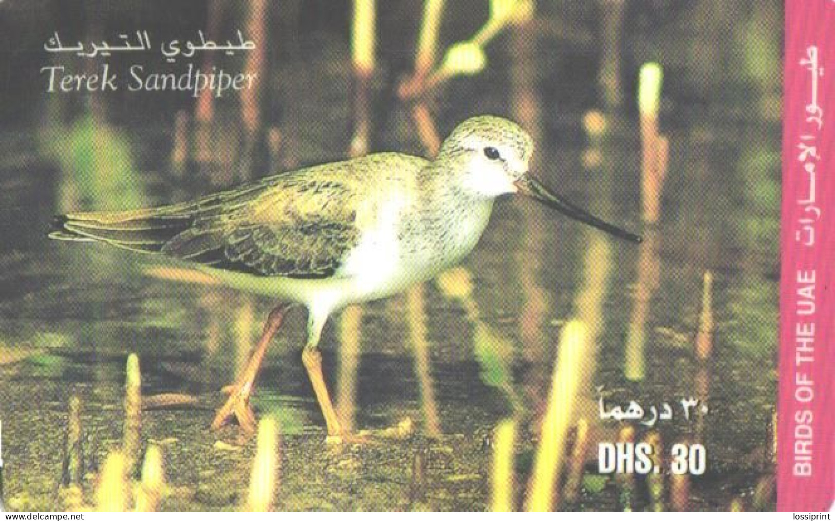 United Arab Emirates:Used Phonecard, 30 DHS., Bird, Terek Sandpiper - Zangvogels