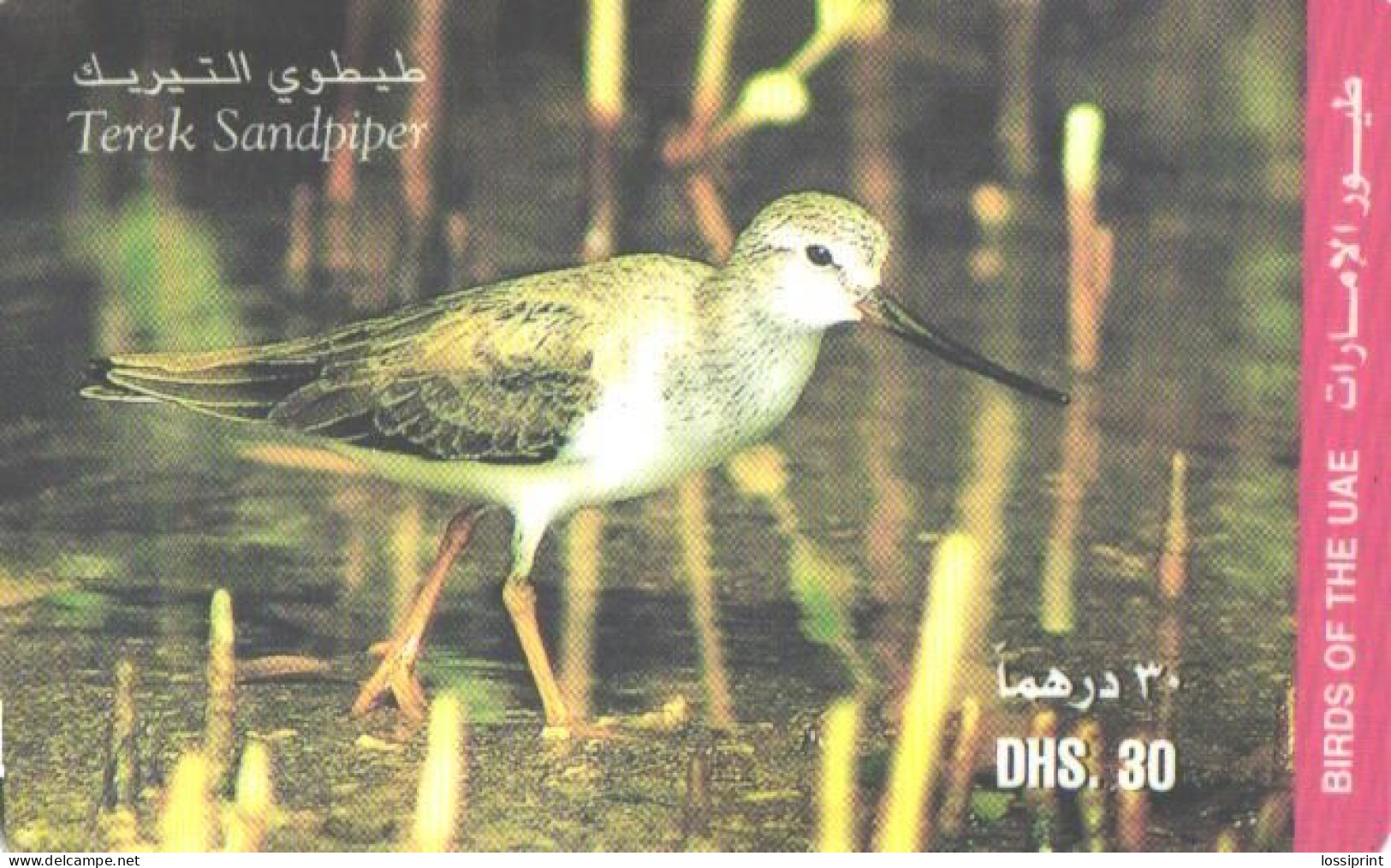 United Arab Emirates:Used Phonecard, 30 DHS., Bird, Terek Sandpiper - Uccelli Canterini Ed Arboricoli