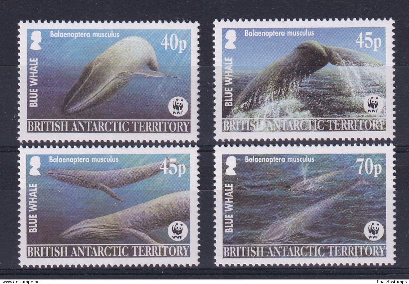 British Antarctic Territory: 2003   Endangered Species - Blue Whale  MH  - Ongebruikt