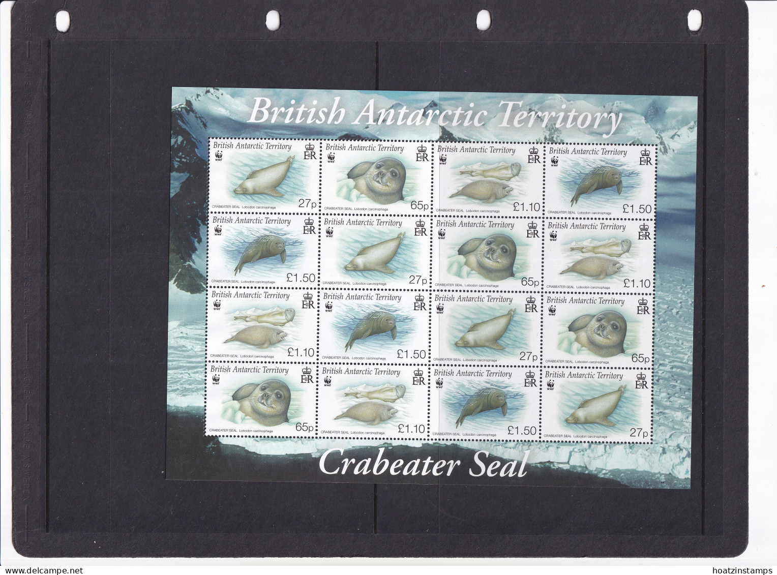 British Antarctic Territory: 2009   Endangered Species - Crabeater Seal  MNH Sheetlet  - Ongebruikt