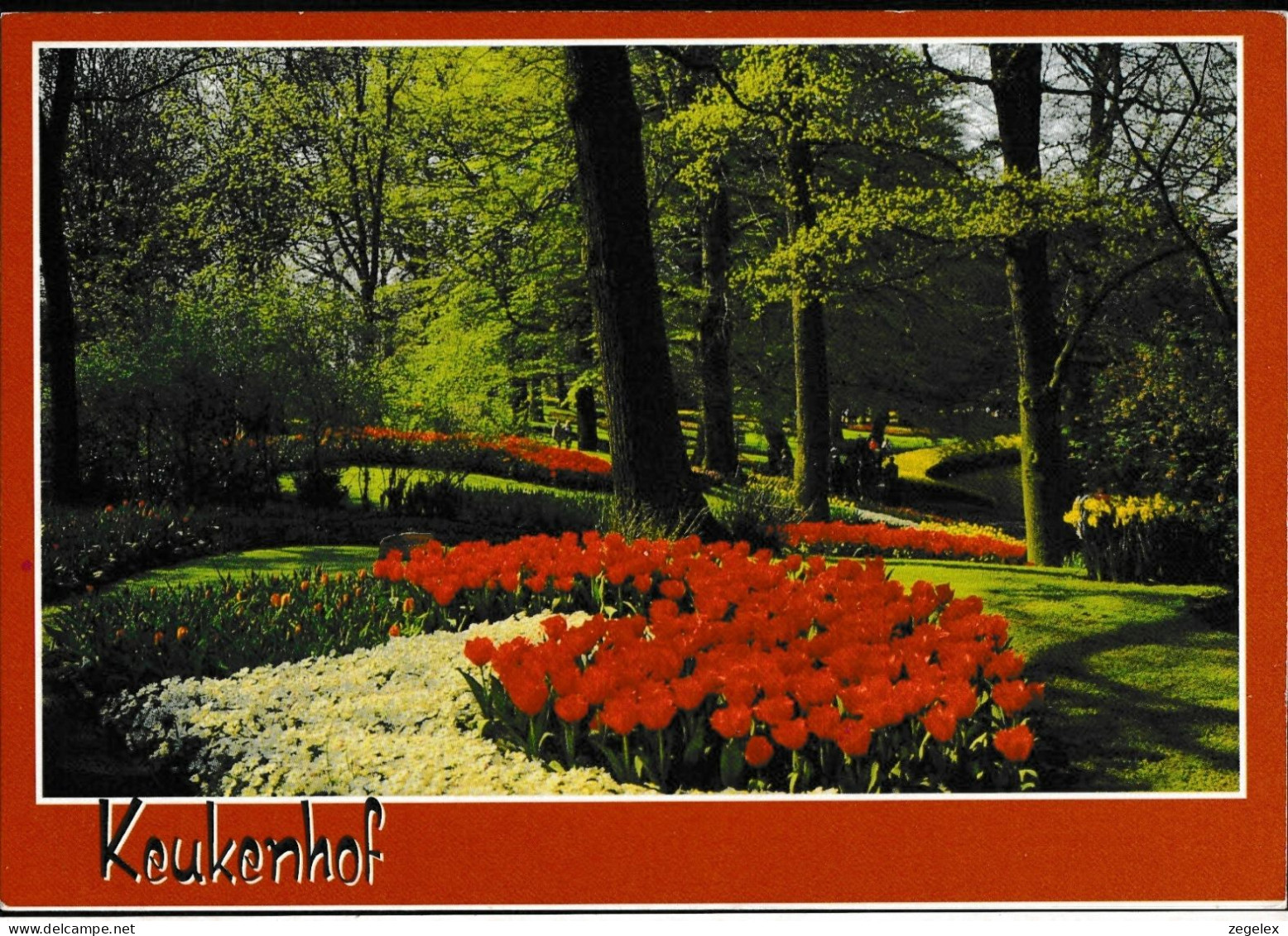 Keukenhof - Lisse