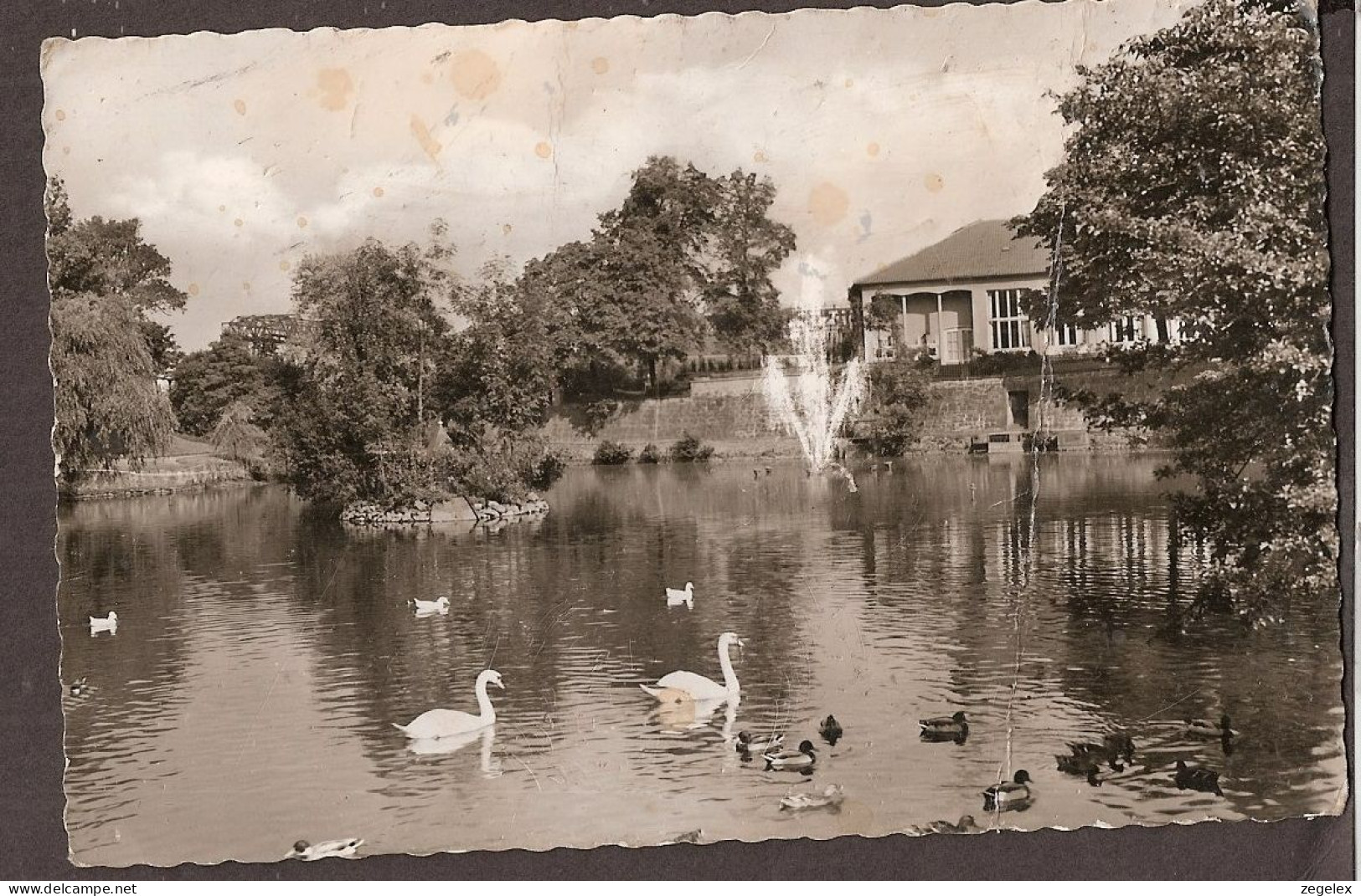 Georgsmarienhütte Kasinoteich  - Georgsmarienhuette