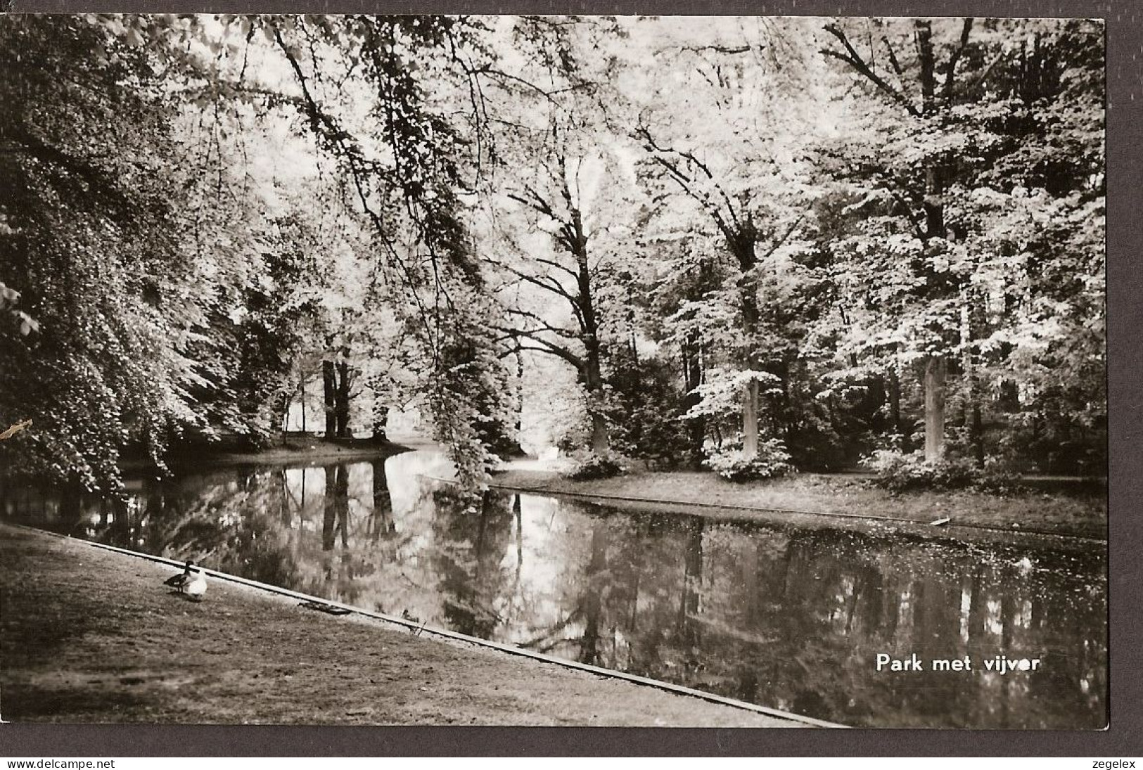 Soestdijk - Nieuw Mariënburg - Park Met Vijver - Soestdijk