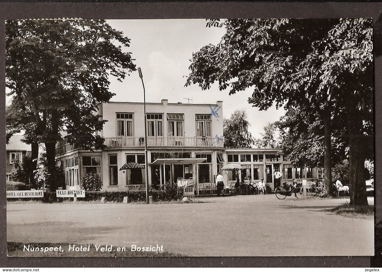 Nunspeet - Hotel Veld En Boszicht -1964 - Nunspeet
