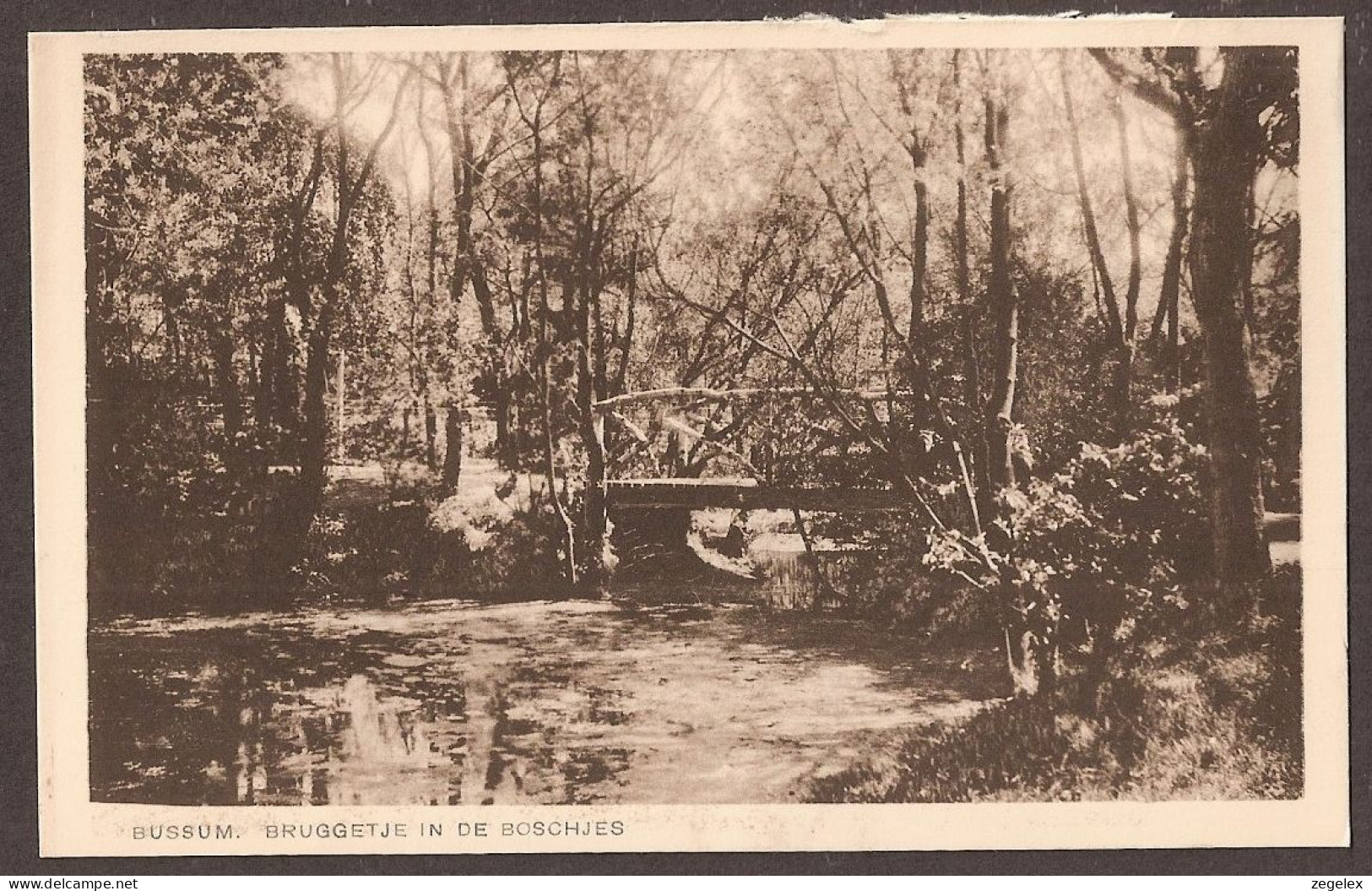 Bussum - Bruggetje In De Boschjes - Bussum