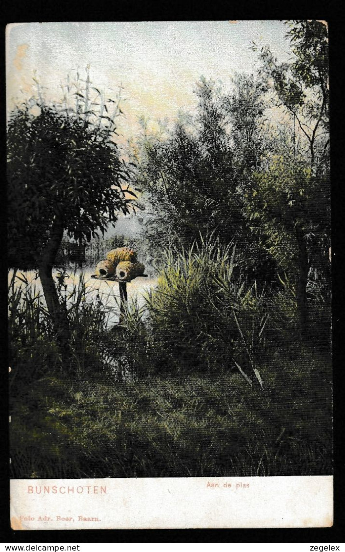 Bunschoten - Aan De Plas - Bunschoten