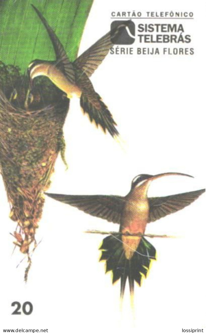 Brazil:Brasil:Used Phonecard, Sistema Telebras, 20 Units, Bird, Phaethornis Margarettae, 1997 - Uccelli Canterini Ed Arboricoli