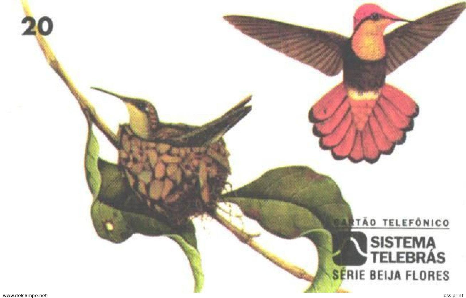 Brazil:Brasil:Used Phonecard, Sistema Telebras, 20 Units, Bird, Chrysolampis Mosquitus, 1997 - Pájaros Cantores (Passeri)
