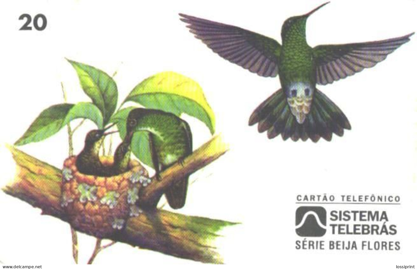 Brazil:Brasil:Used Phonecard, Sistema Telebras, 20 Units, Bird, Amazilia Versicolor Versicolor, 1997 - Songbirds & Tree Dwellers