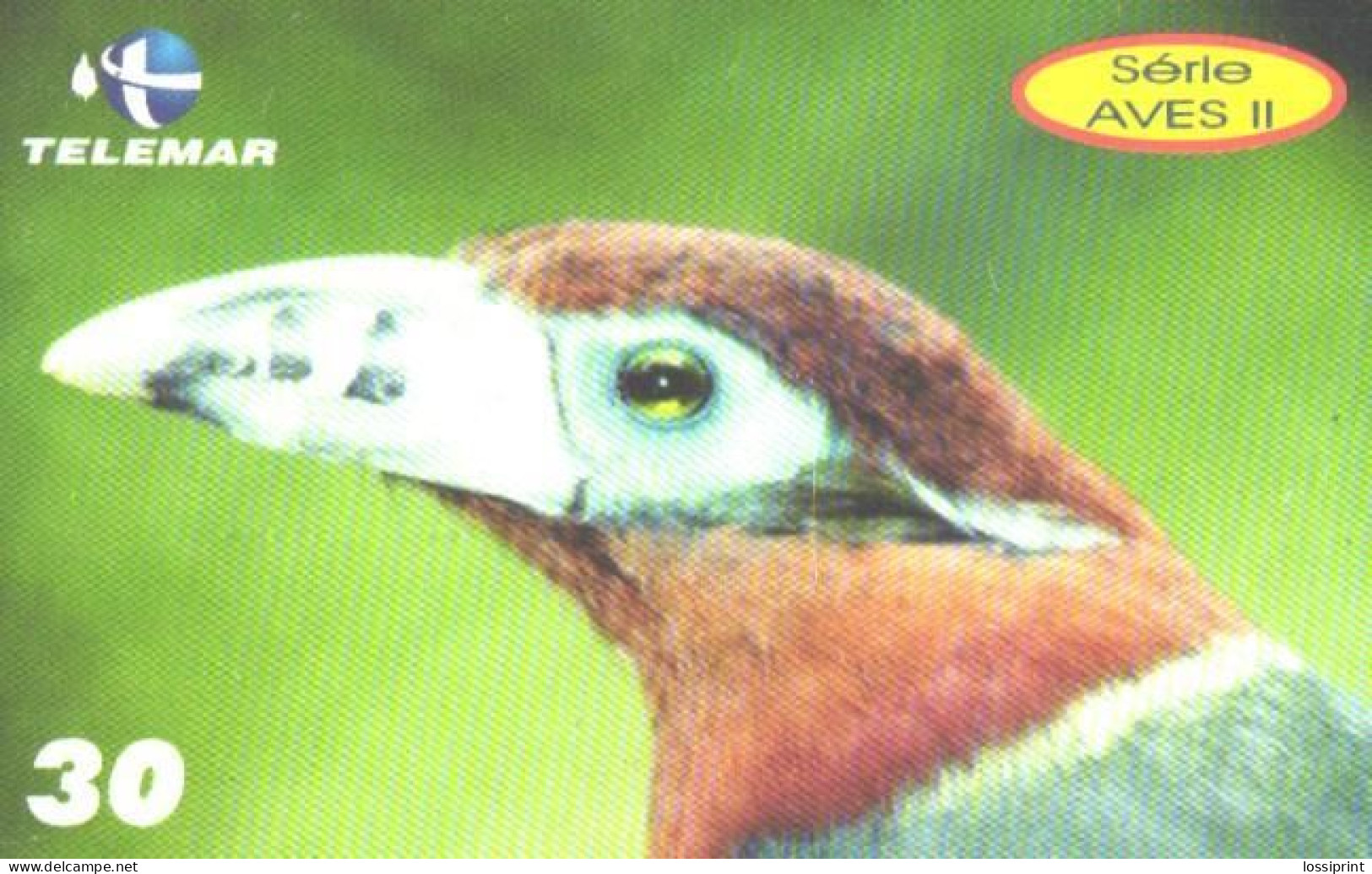 Brazil:Brasil:Used Phonecard, Telemar, 30 Credits, Bird Selenidera Macullirostris, 2001 - Zangvogels