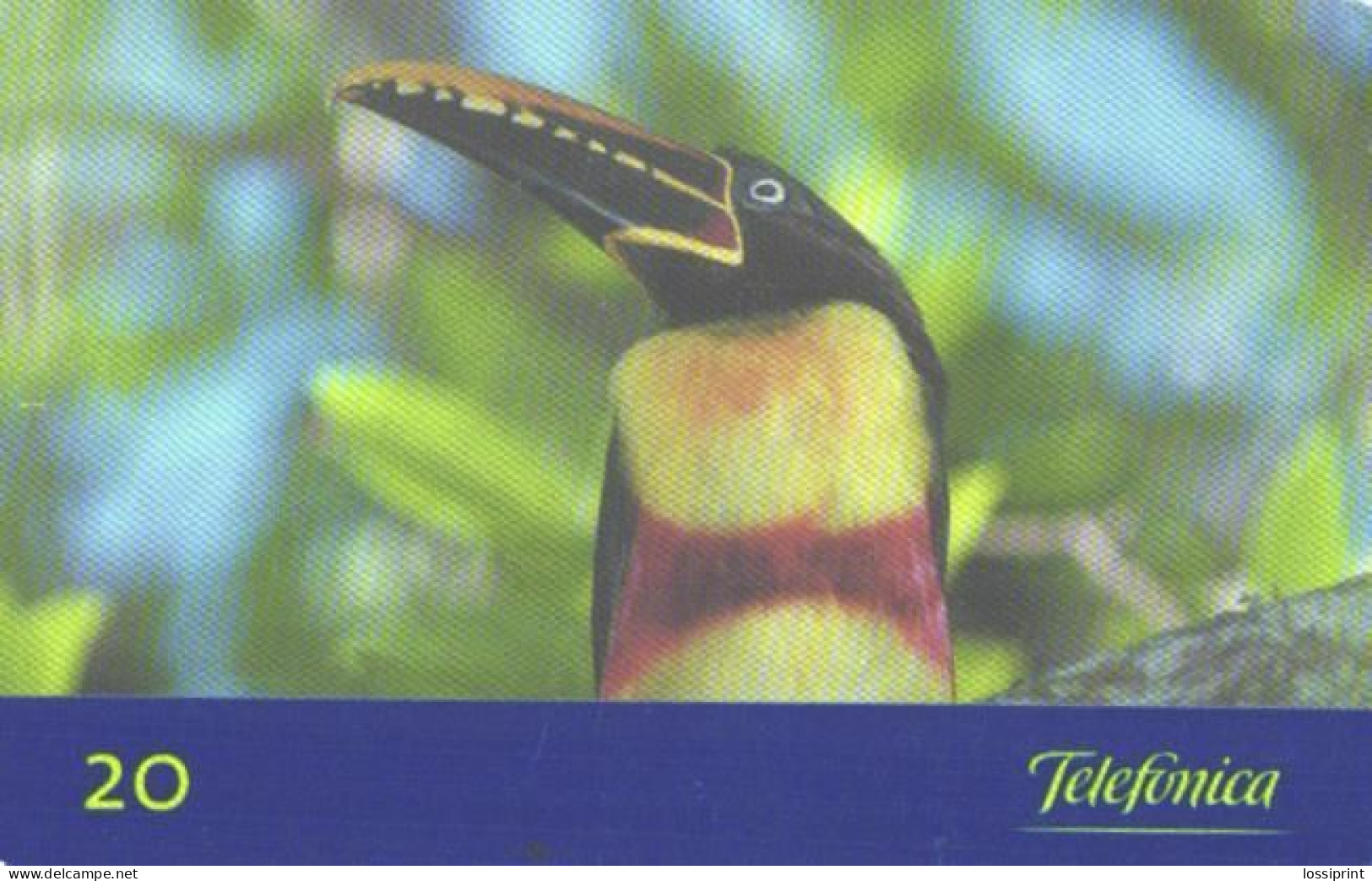 Brazil:Brasil:Used Phonecard, Telemar, 30 Credits, Bird Pterglossus Castanotis, 1999 - Zangvogels